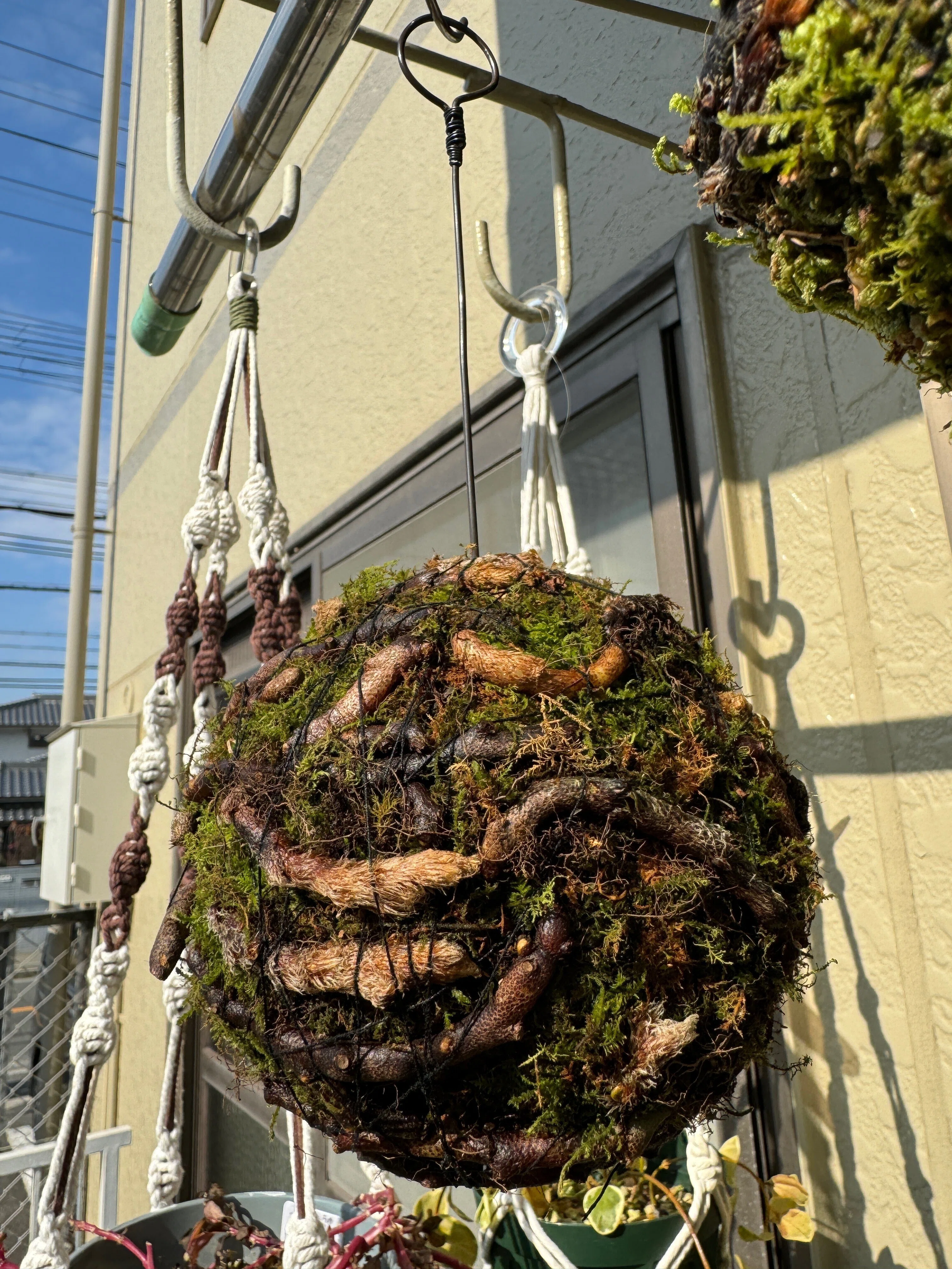 吊りしのぶ』を作ってみた｜穂の気ままライフ