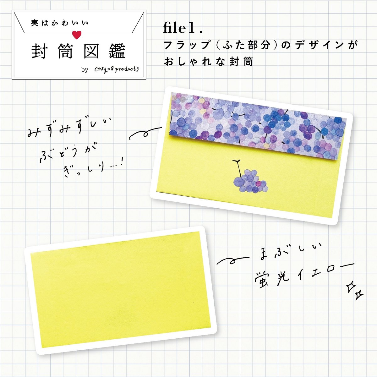 実はかわいい、封筒図鑑✉️｜表現社 cozyca products 