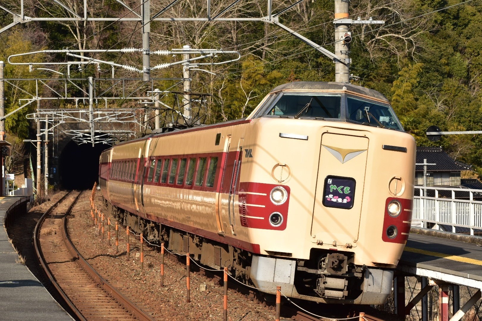 381系特急電車ファイナルラン記念品 91SqY8AG6JL.jpg