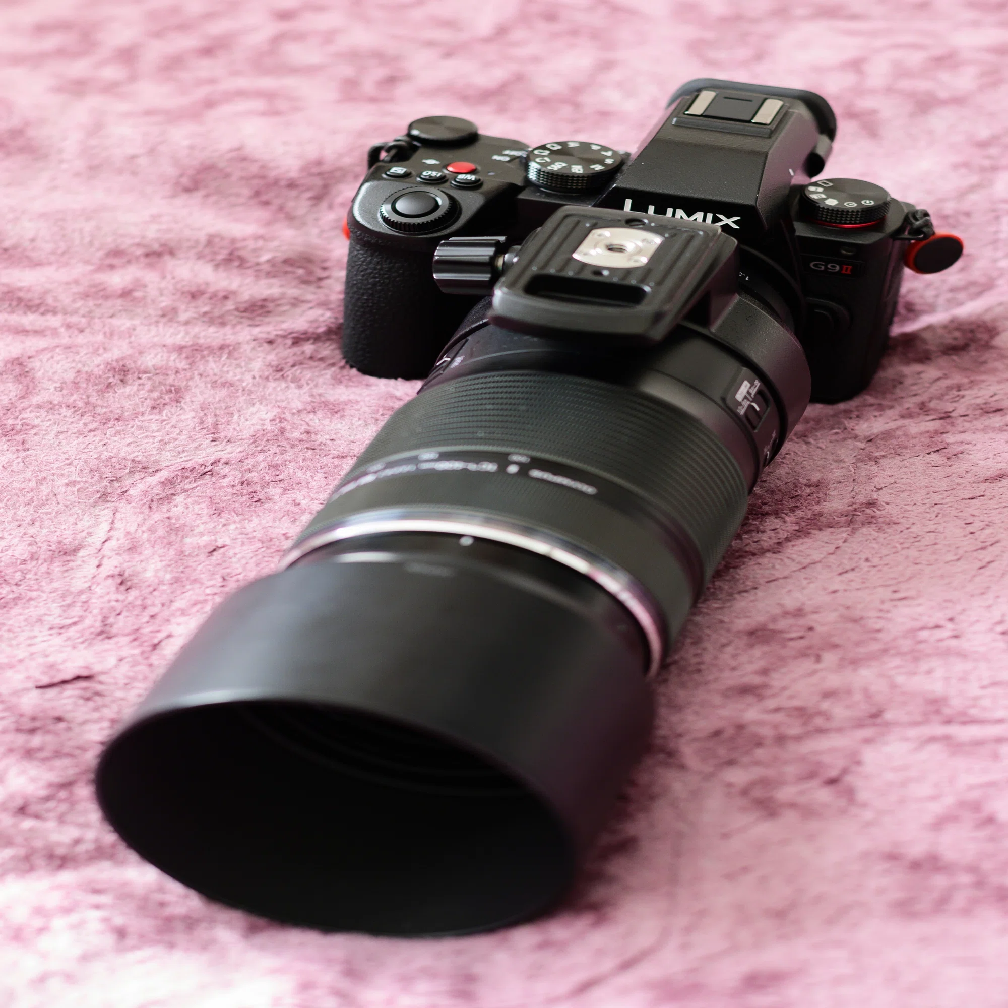 LUMIX G9ProII meets わたし｜sugarkrone