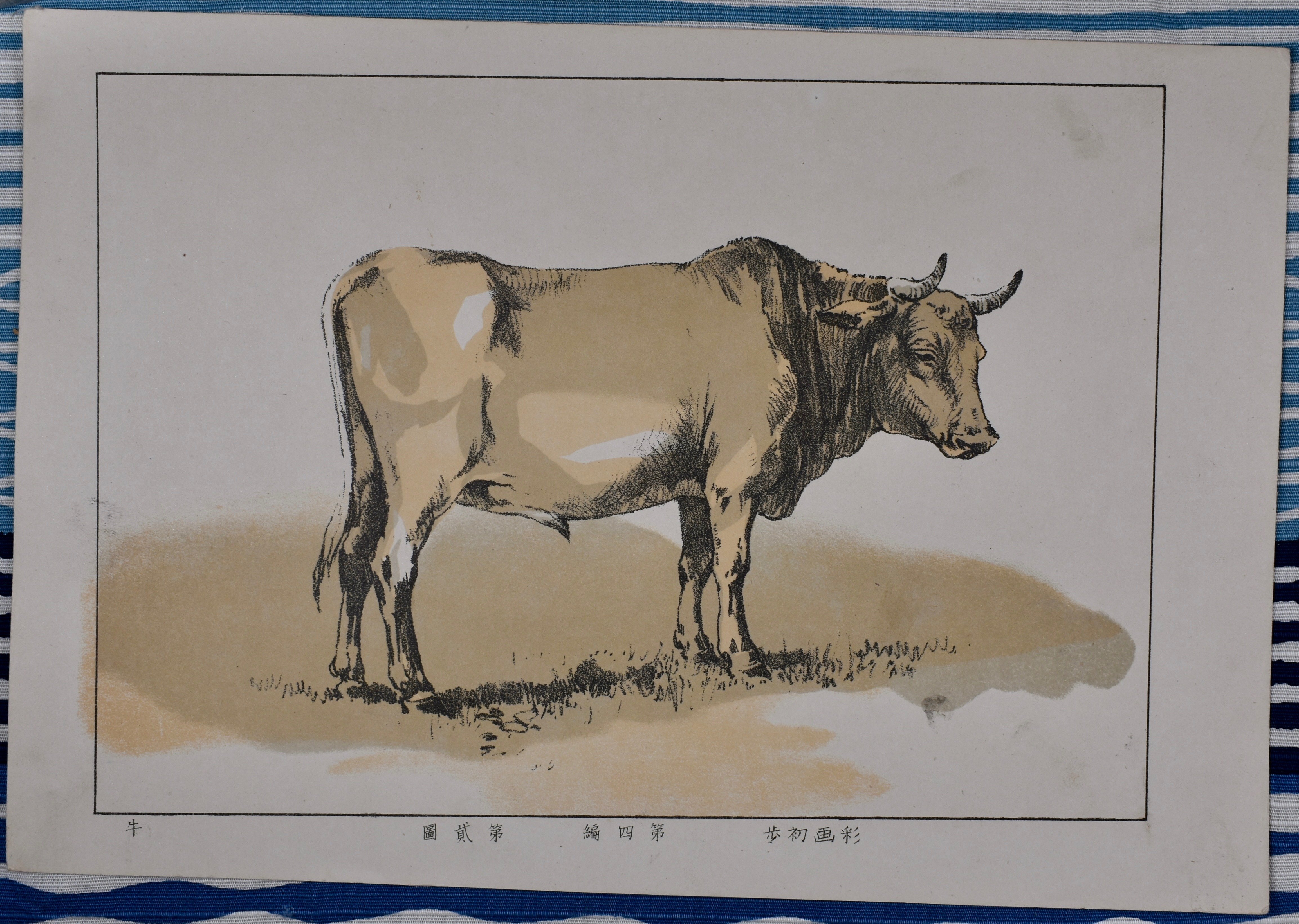 浅井景一氏、椿、直筆、絵画 木版画のことなら『木版画 版元 芸艸堂 Woodblock print』