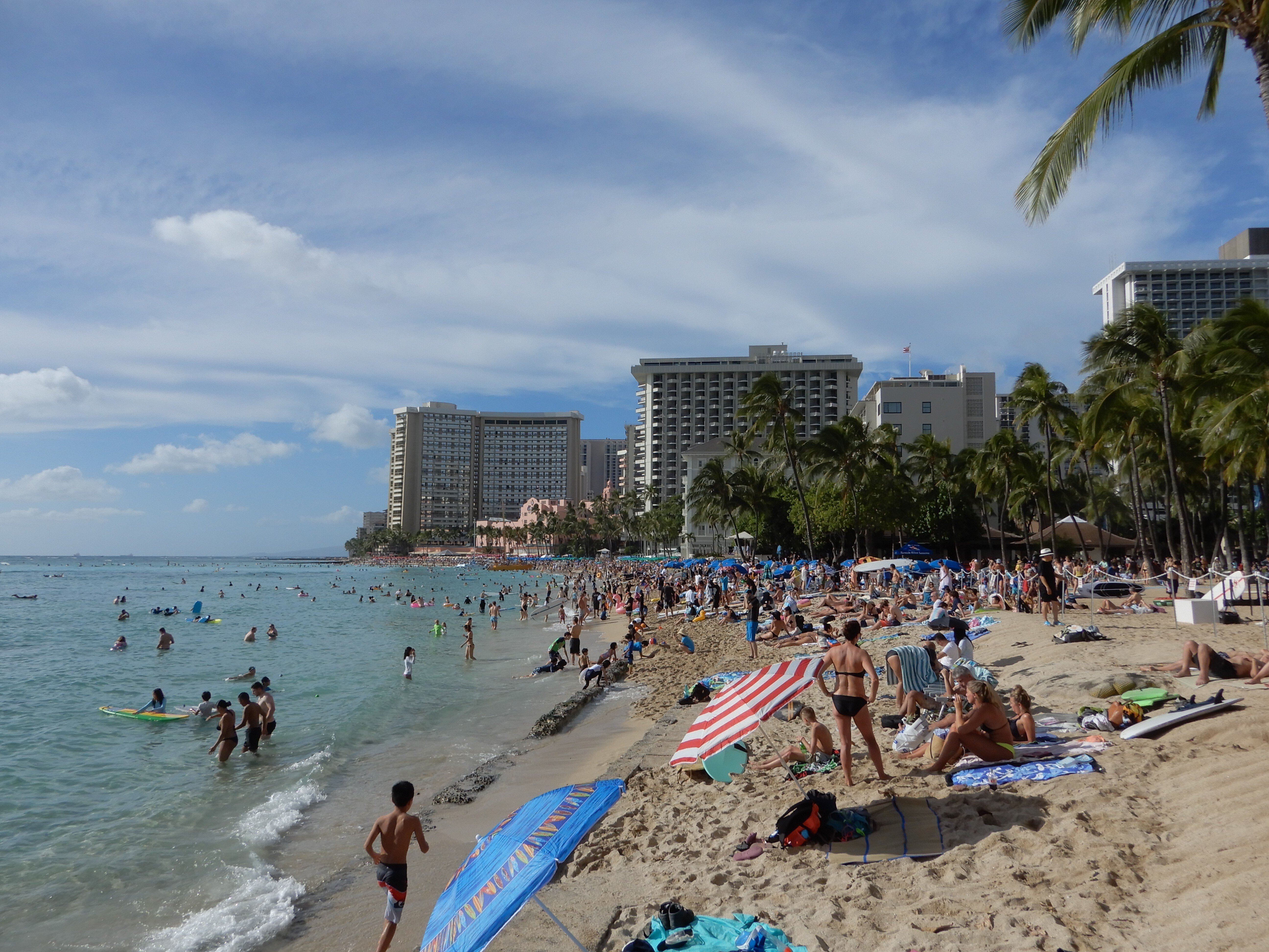 最終値下げ　ジョンアルホーグ　パームパラダイス　ダイヤ2個　ハワイ　海 8月中最終値下げ ジョンアルホーグ パームパラダイス ダイヤ2個 ハワイ