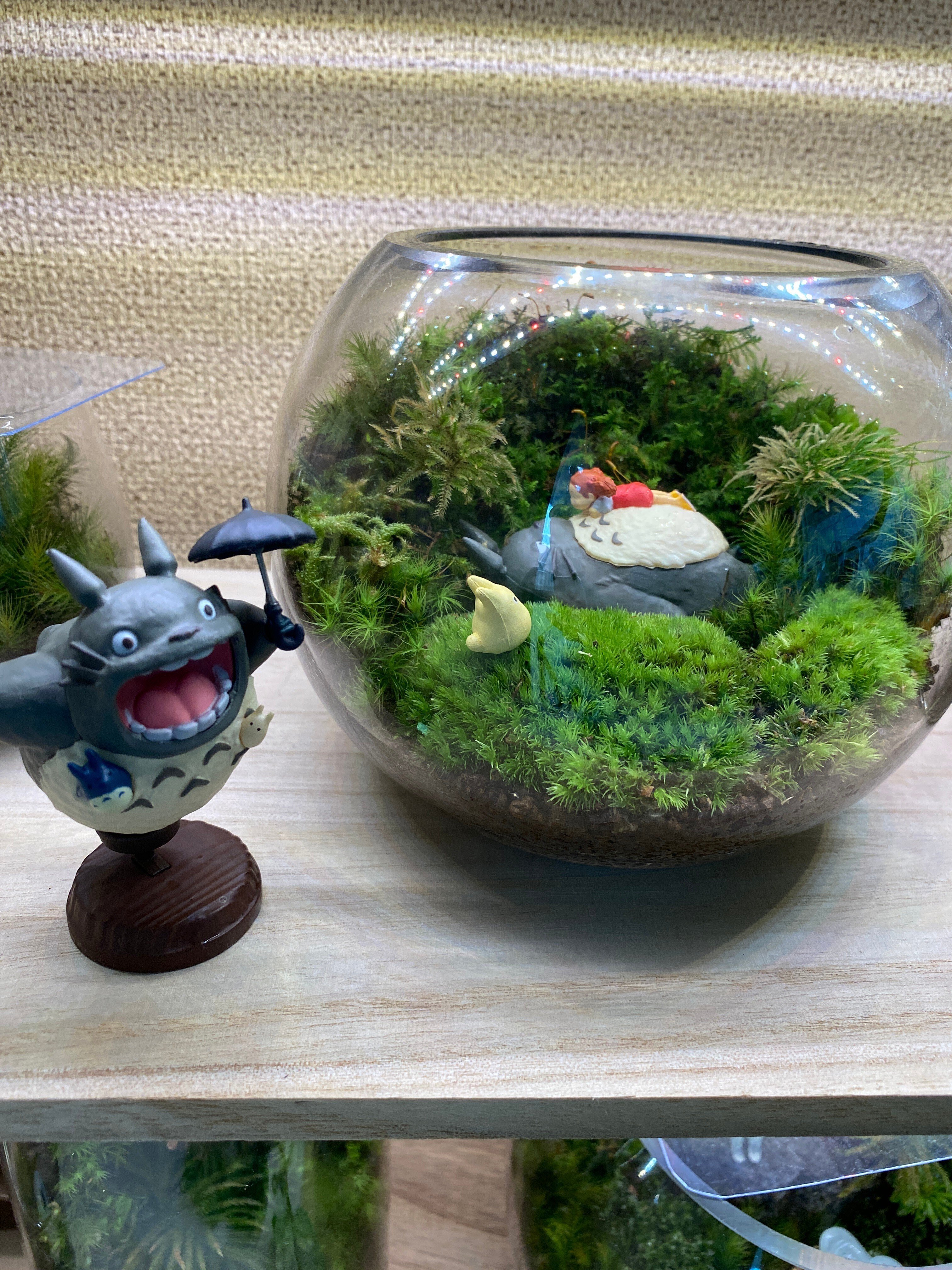 ジブリな苔テラリウムを作る🌱｜みどり🌱