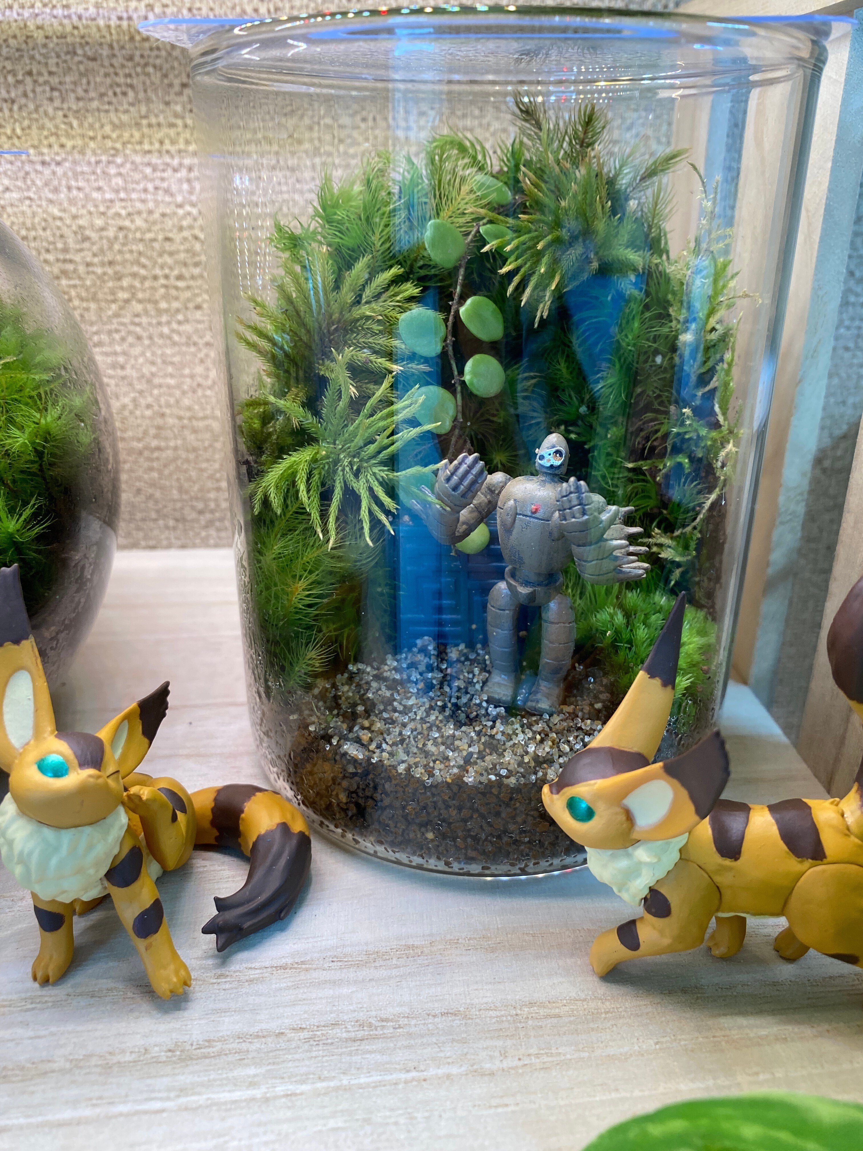 苔テラリウム ロボット兵 シングル、ダブルセット 心癒す我が家の