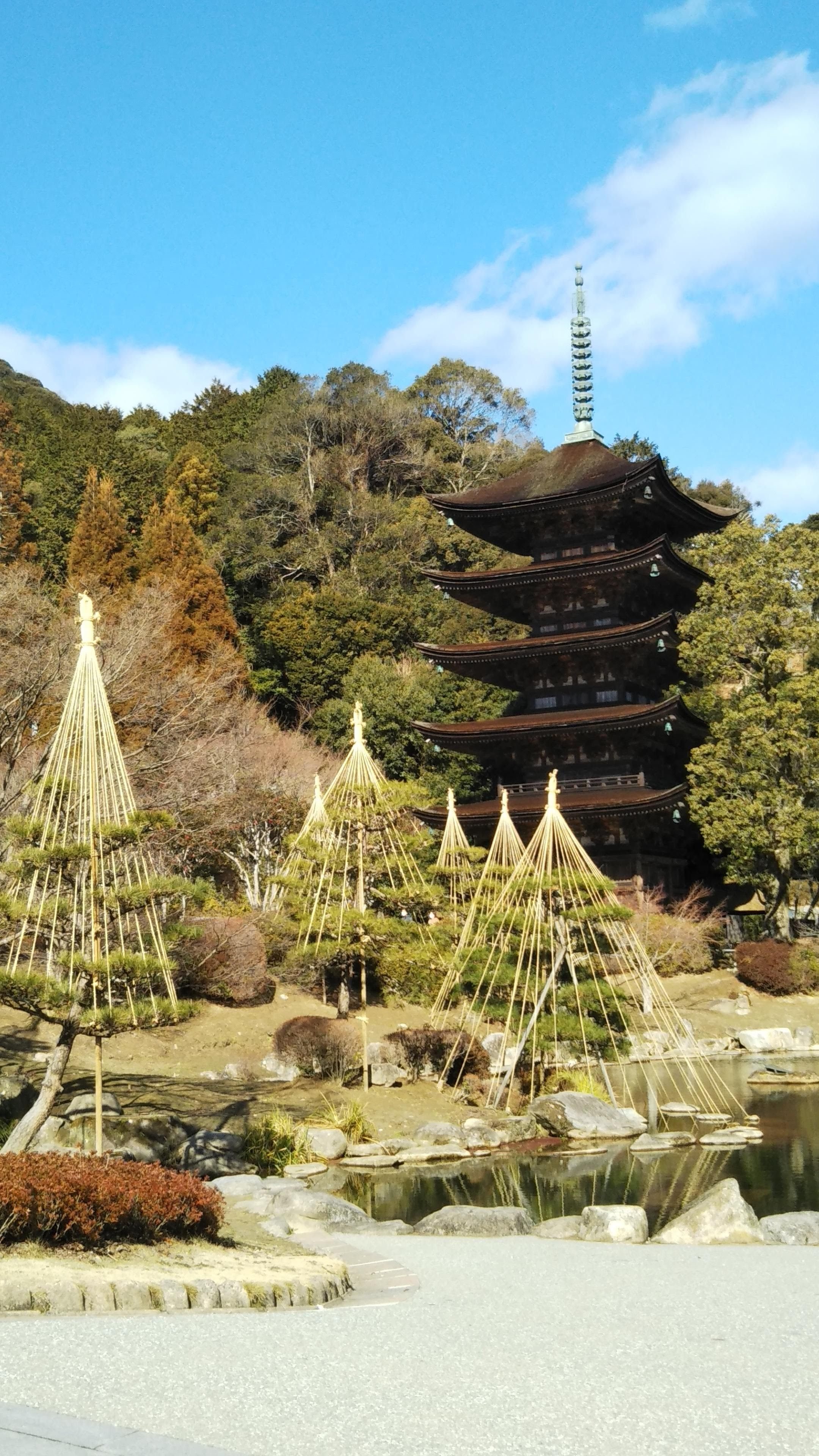 改装SP記念‼️✨お寺✨桜咲く✨瑠璃光寺✨五重の塔✨SPハイグレード仕上げ 改装SP記念‼️✨お寺✨桜咲く✨瑠璃光寺✨五重の塔✨SPハイグレード