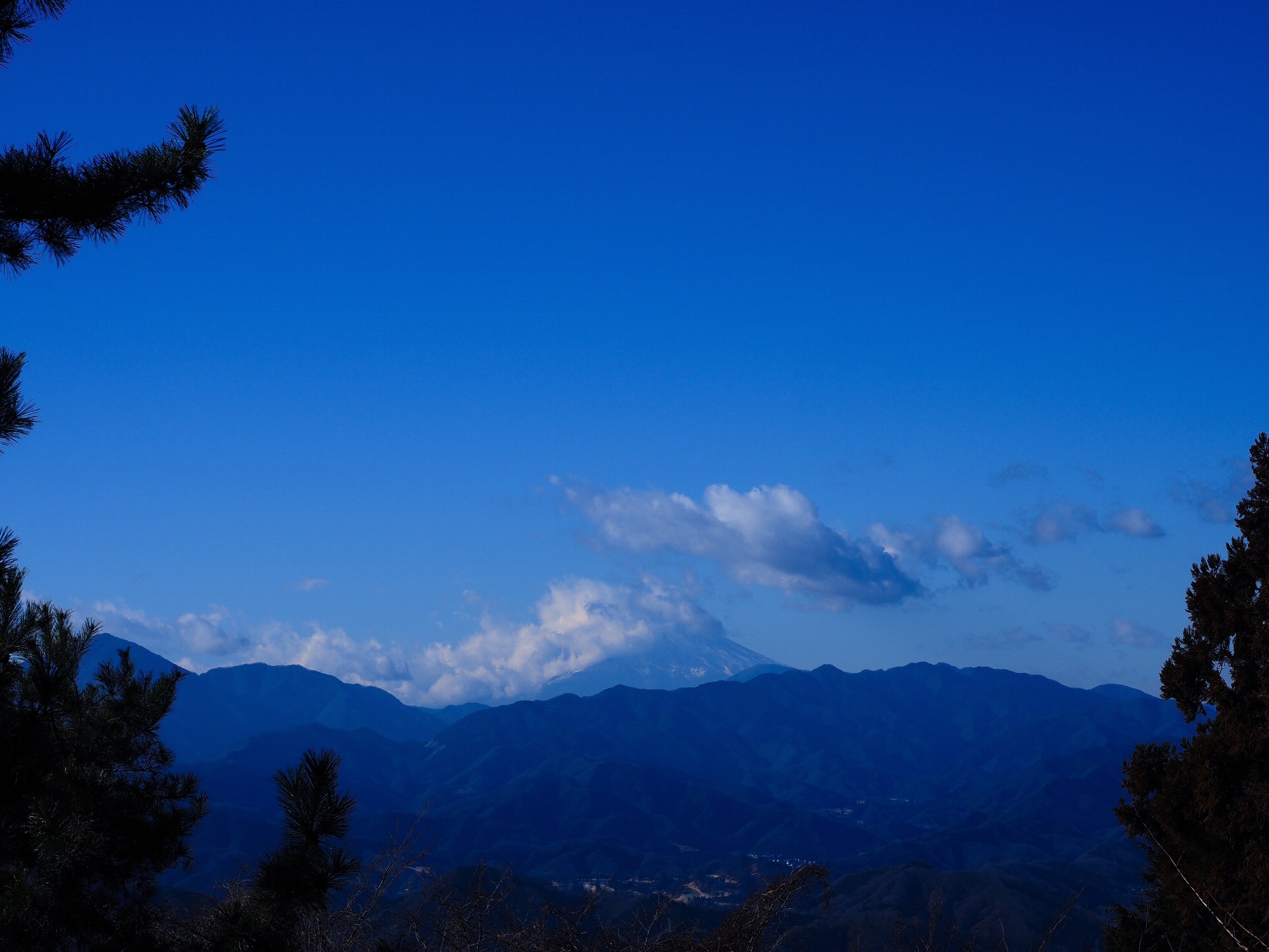 【希少】 初版第一刷「もみのき山のお正月」 山本譲二／七夕月 (萩の花咲く頃) |蒼い国境 8cmシングルCD