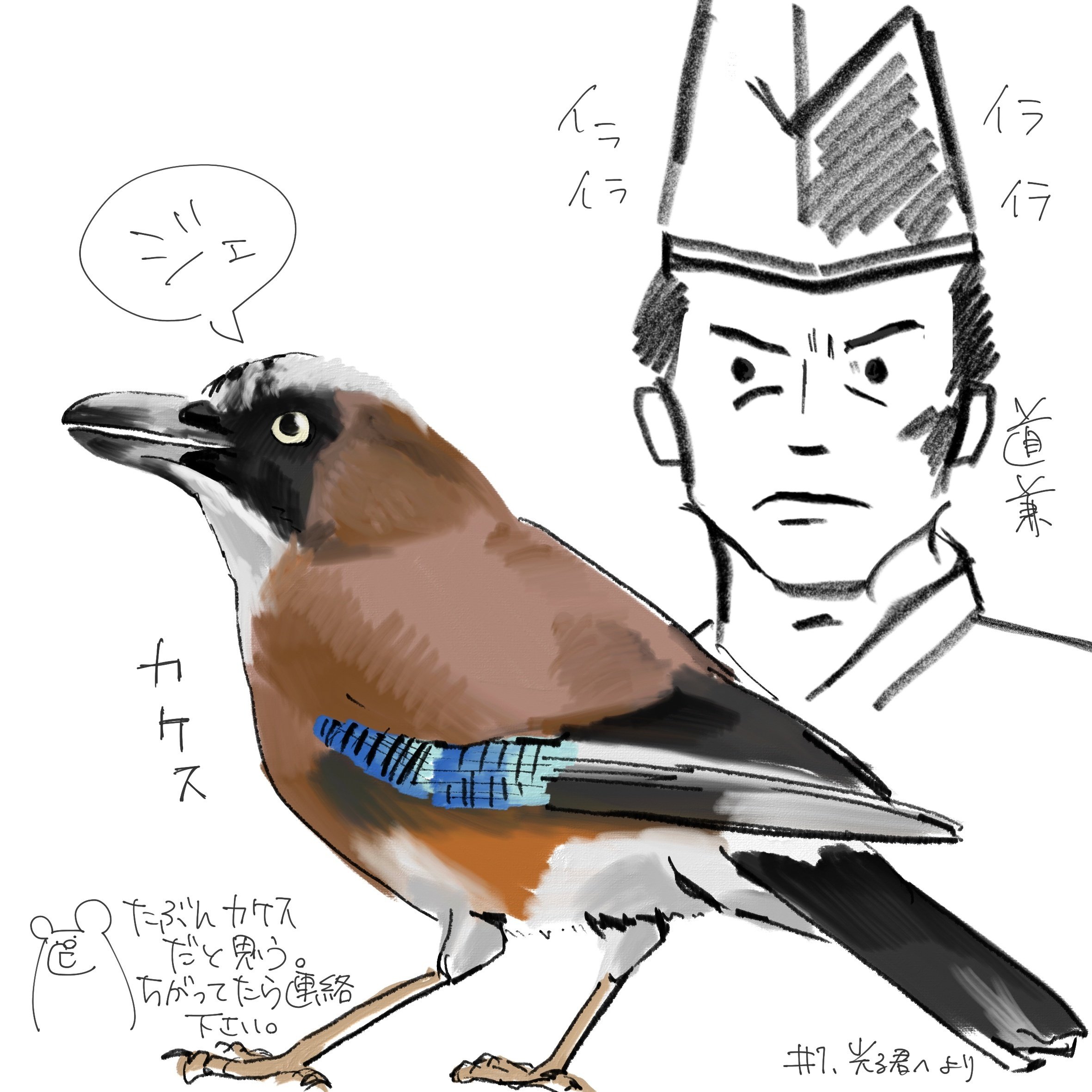 光る君へ」でバードウォッチング(1)約束の月｜くますけ｜自然ガイド