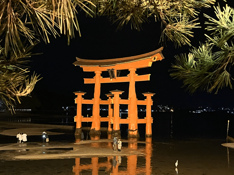 ライトアップされた厳島神社の大鳥居