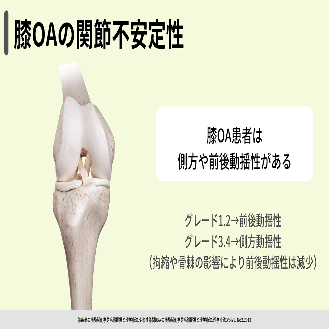 変形性膝関節症の運動療法10選｜小林龍樹＠理学療法士