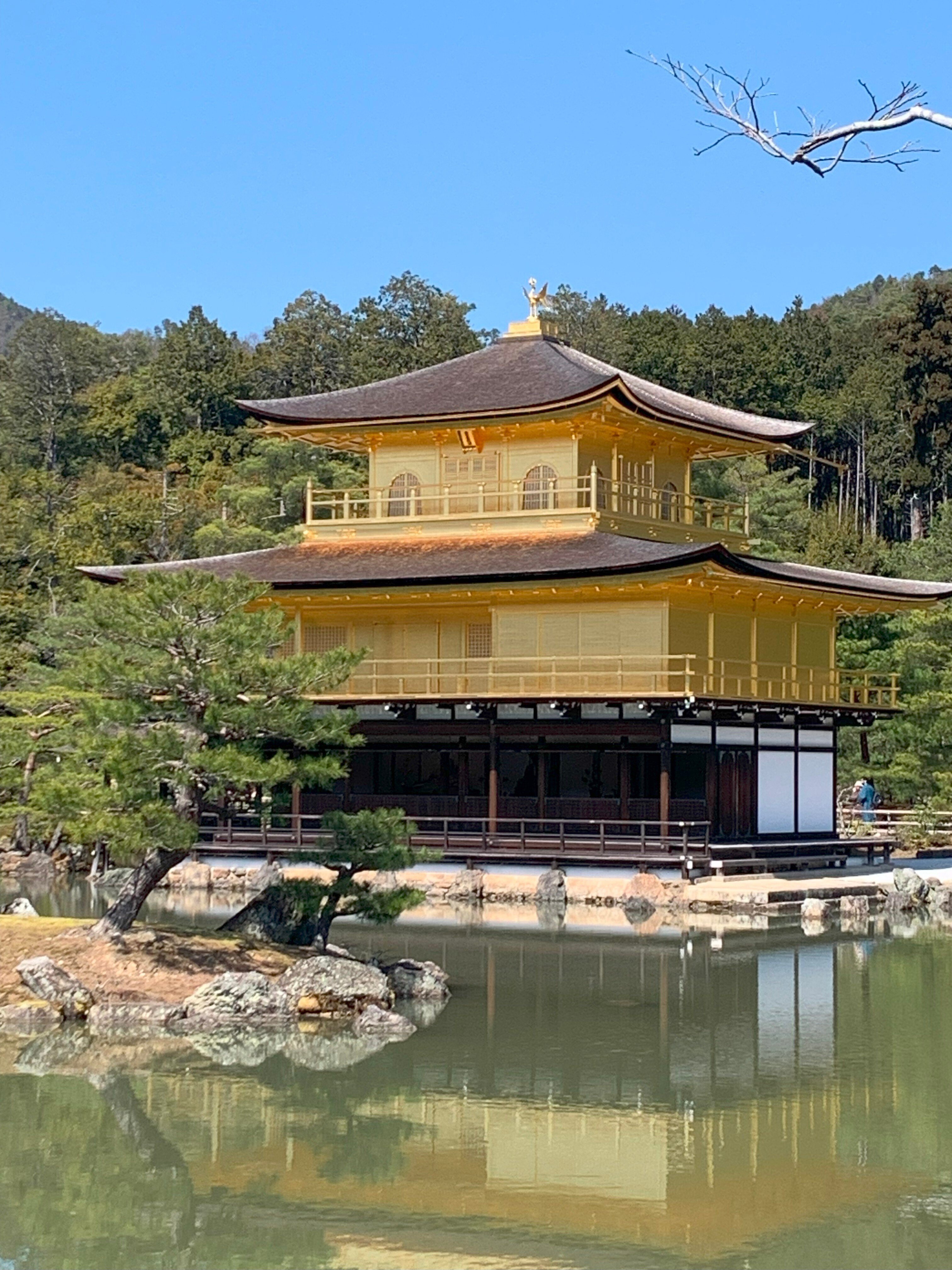 神社仏閣】金閣 鹿苑寺（ろくおんじ）：京都府京都市北区｜上田晃穂