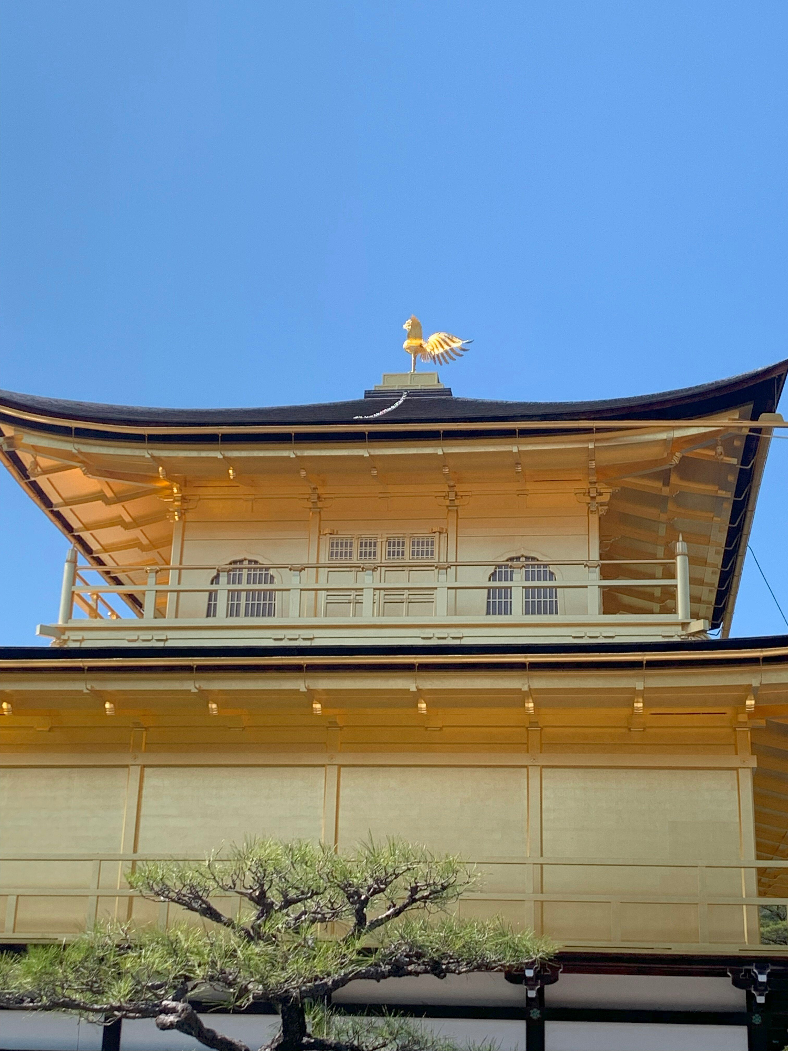 神社仏閣】金閣 鹿苑寺（ろくおんじ）：京都府京都市北区｜上田晃穂
