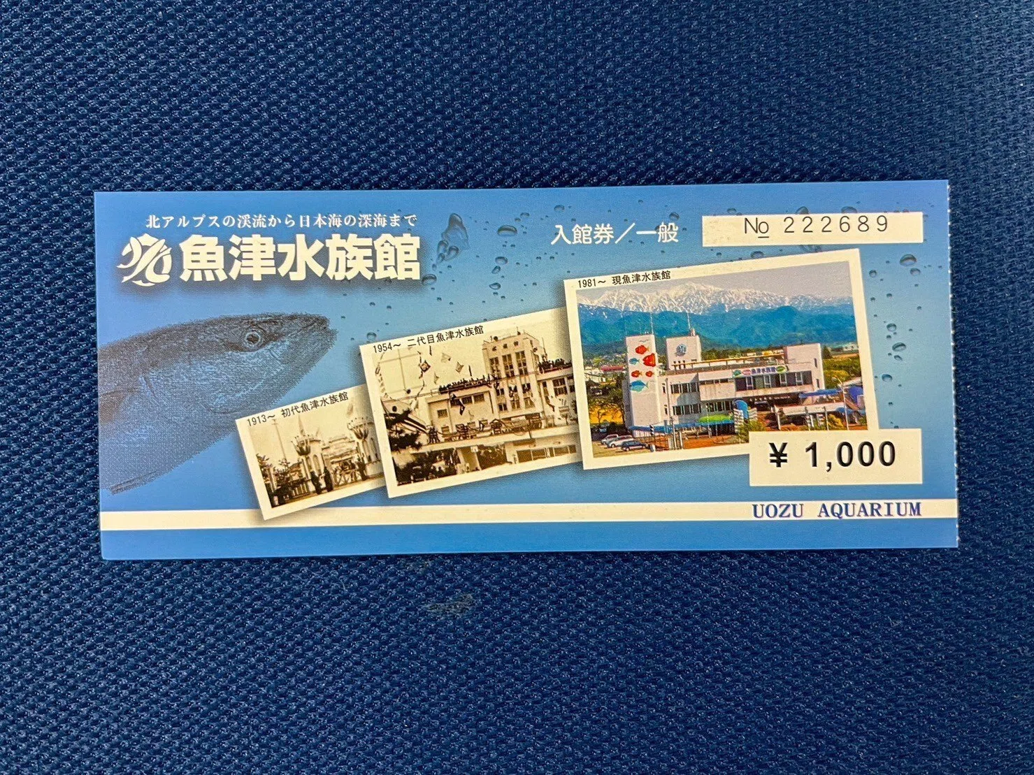 レポ#59 魚津水族館｜haru