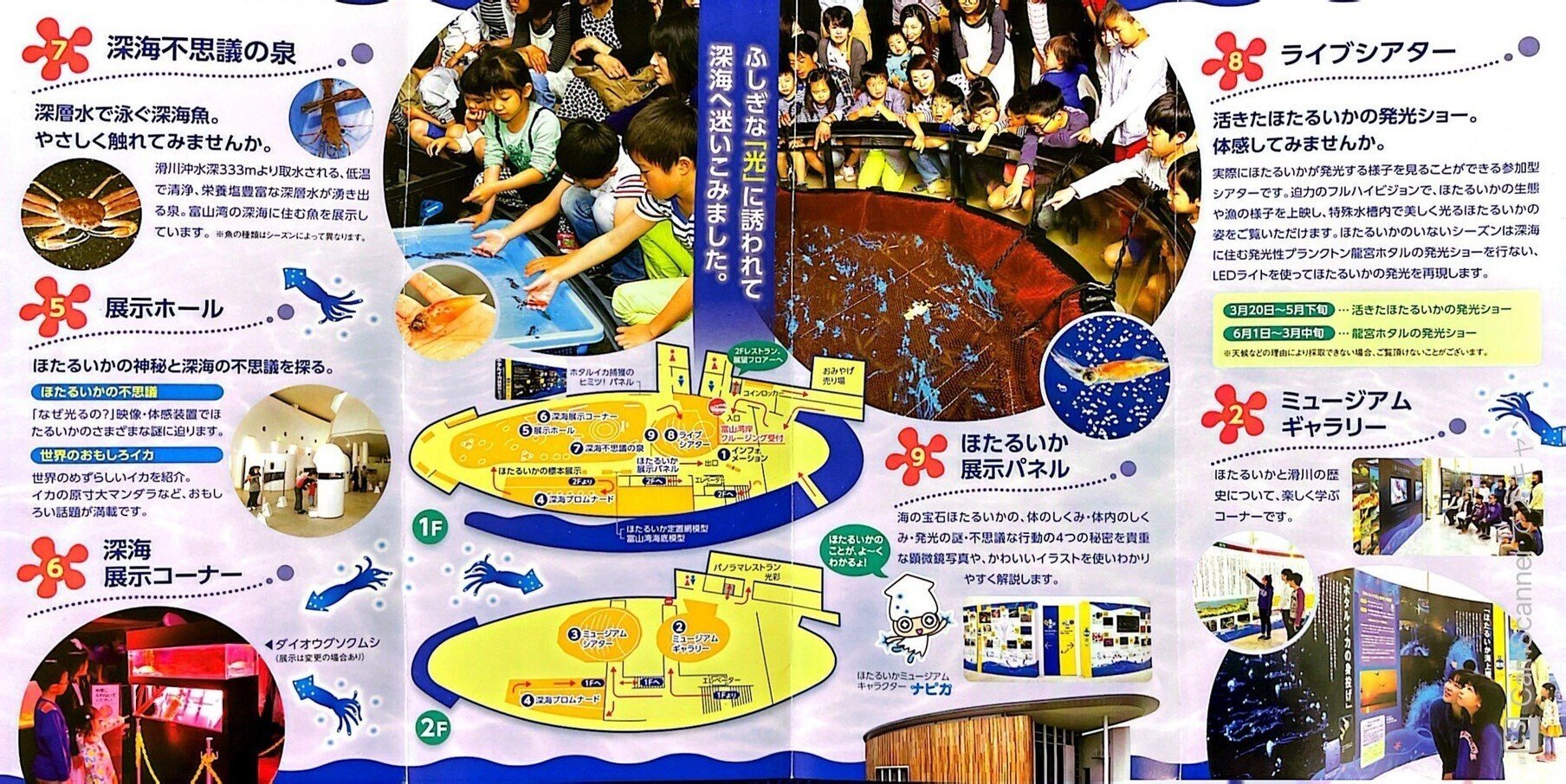 ほたるいかミュージアム｜haru