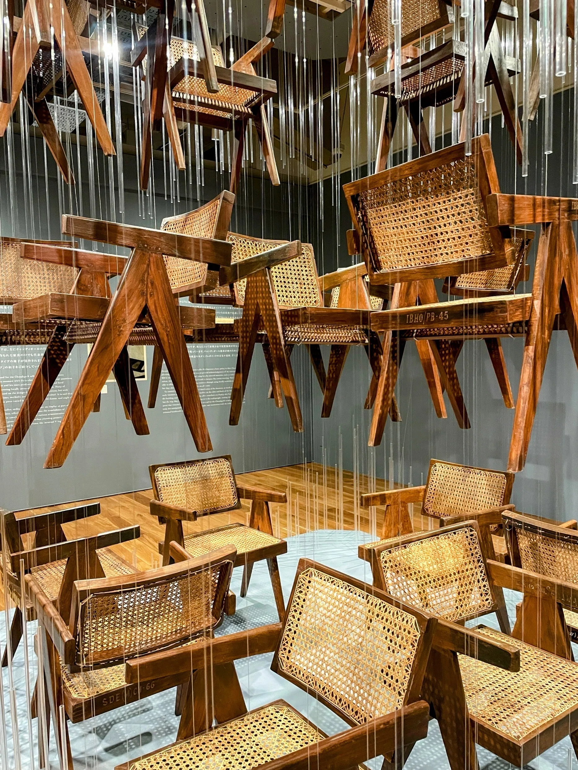 TAKEUCHI COLLECTION「心のレンズ」 ／WHAT MUSEUM｜美術館とお寺と猫