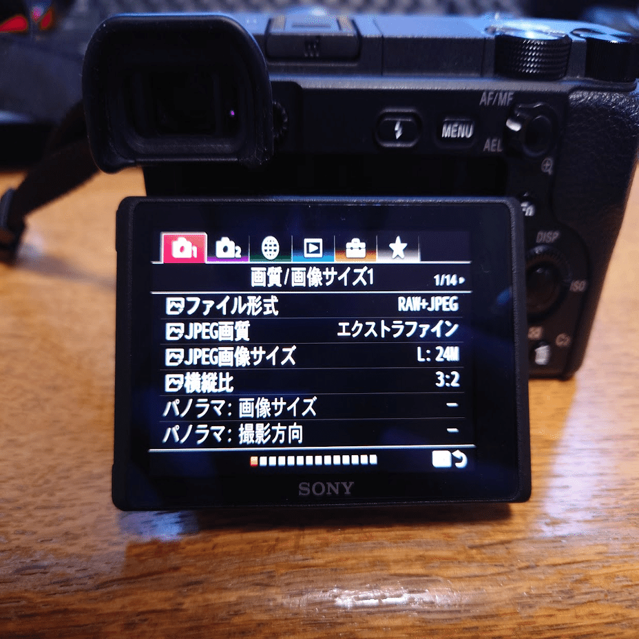 まるで腐れ縁の元カノ ―α6400を2年使ったレビュー―｜ぼすかる