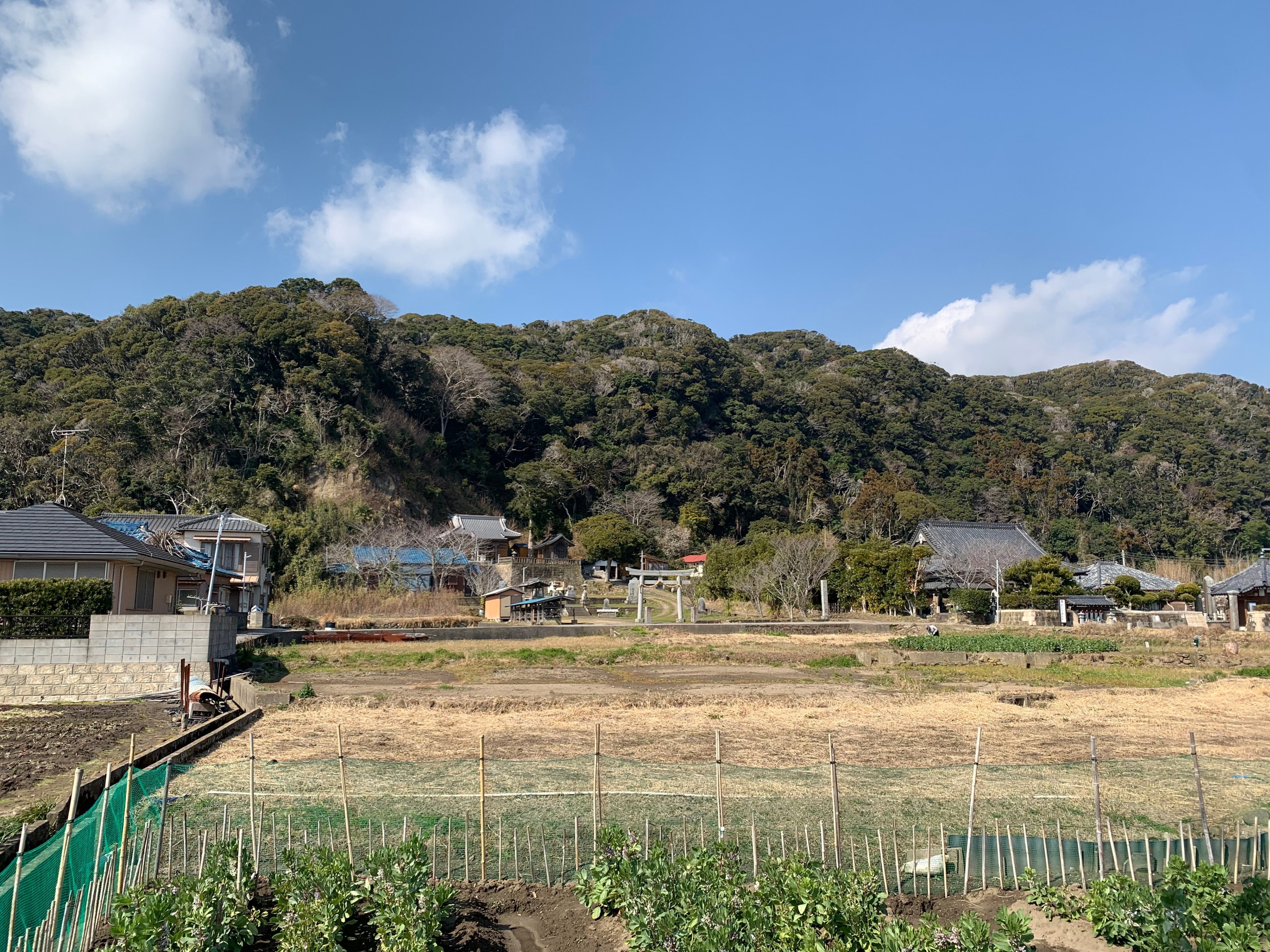 千倉町白間津 小さな港町と大きな神社|キャプテン村社 千倉町白間津 小さな港町と大きな神社|キャプテン村社