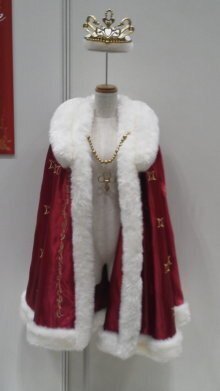 イベレポ】ときめきメモリアルgirl' side はば学・はね学合同