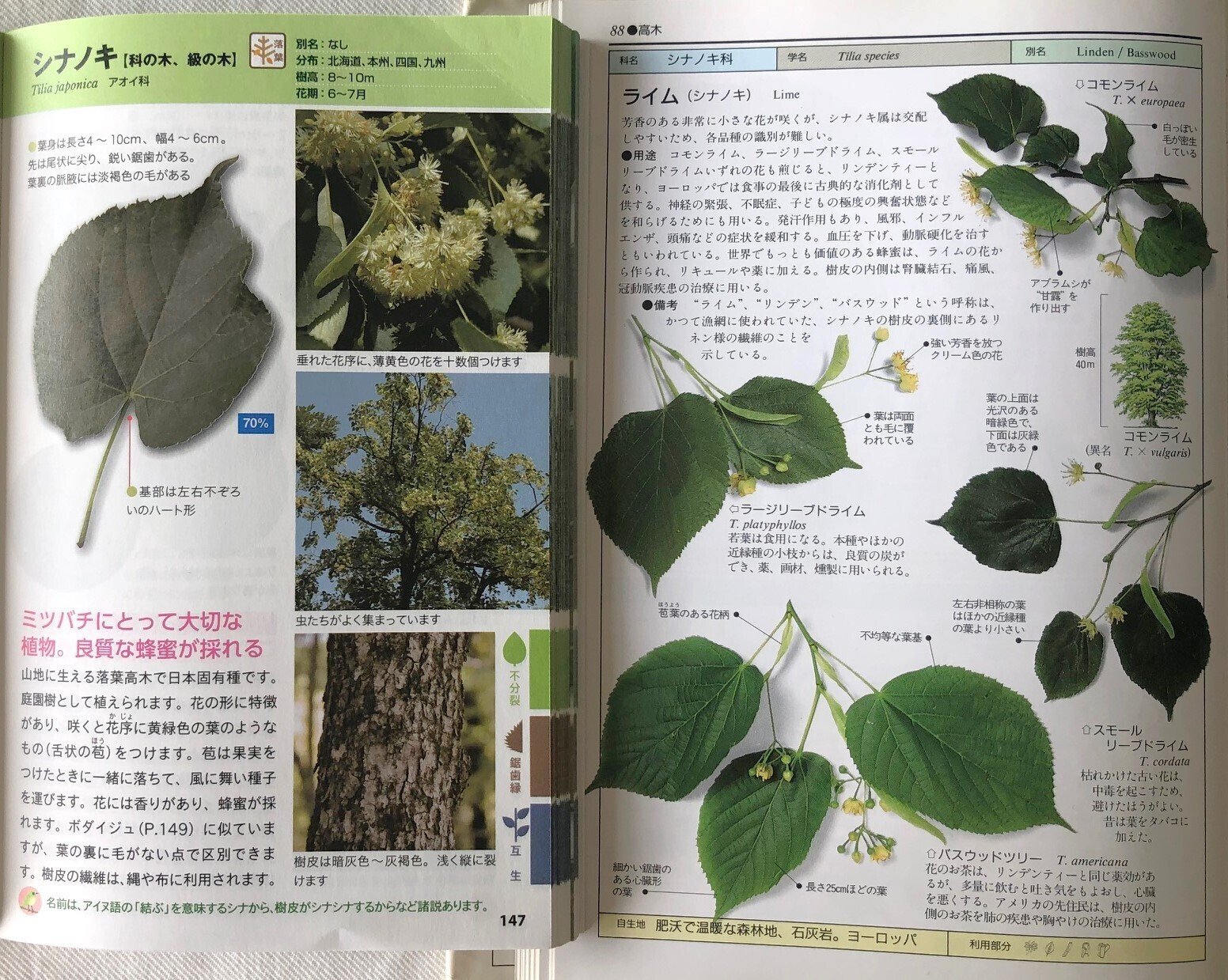 動植物名よみかた辞典 動植物名よみかた辞典(日外アソシエーツ株式会社 編) / 古本