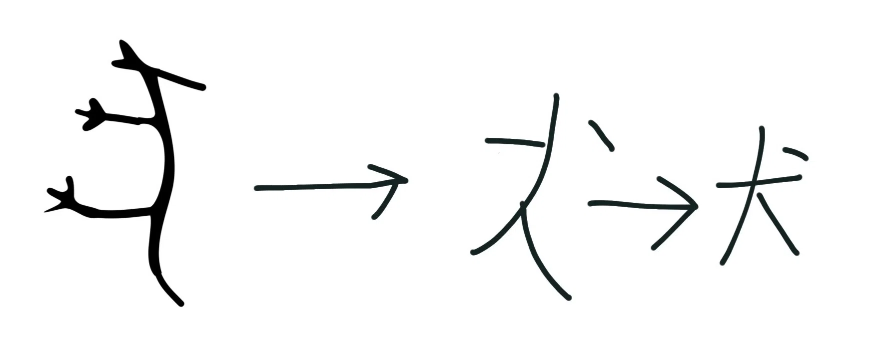 犬 の 成り立ち