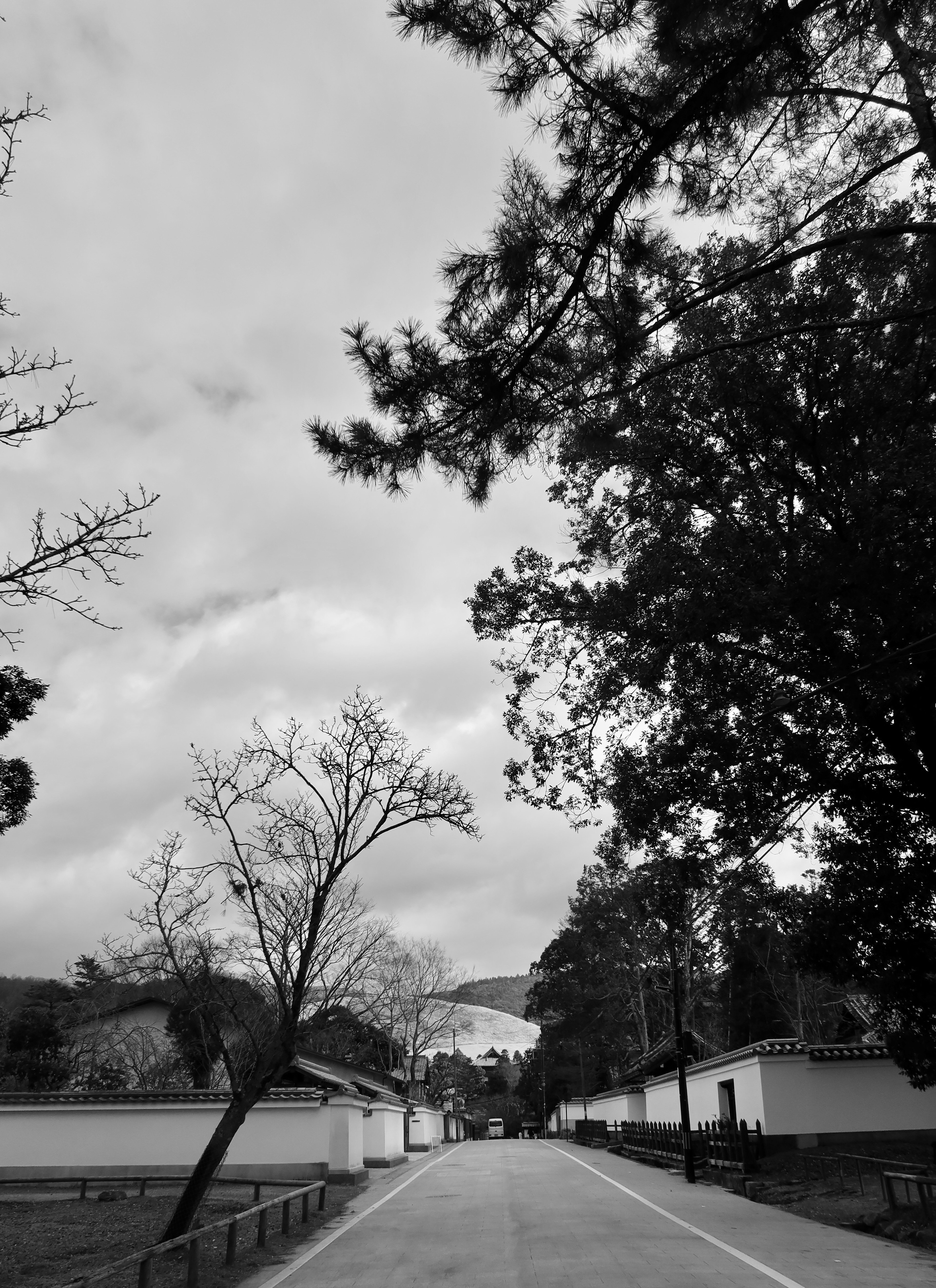 徒然雲 染まらぬ美【不染鉄】奈良県立美術館｜kumokichi