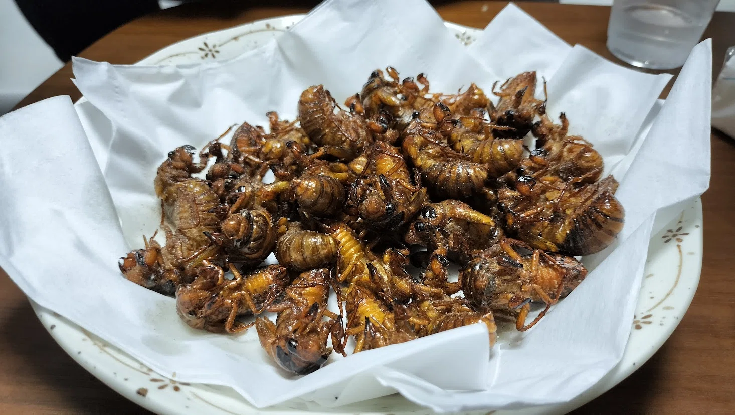 セミ の 幼虫 食べる