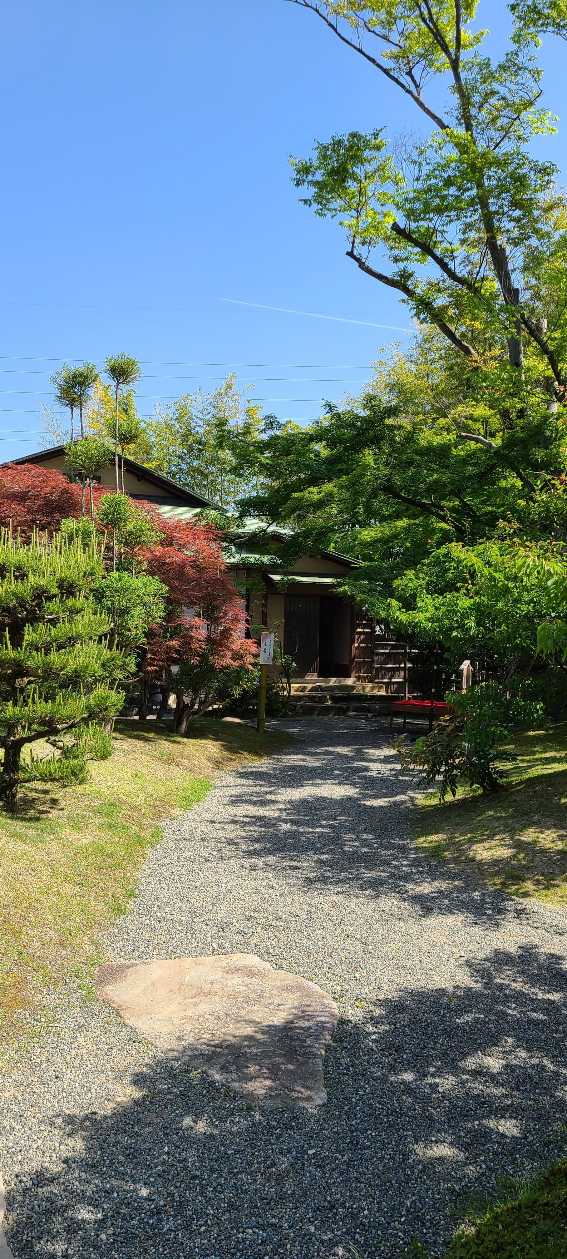 平安 象彦　松花堂好　点心揃(松花堂と吸物椀) 美品　共箱　茶道　懐石　送料込 _1.jpg?crop=1xw:0.75xh;center,