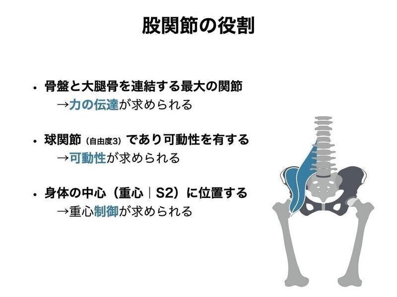 症例別！徒手的理学療法評価と治療 Part-2 股関節および四肢に症状のある患者 症例別！徒手的理学療法評価と治療 Part-2～股関節および四肢に症状の