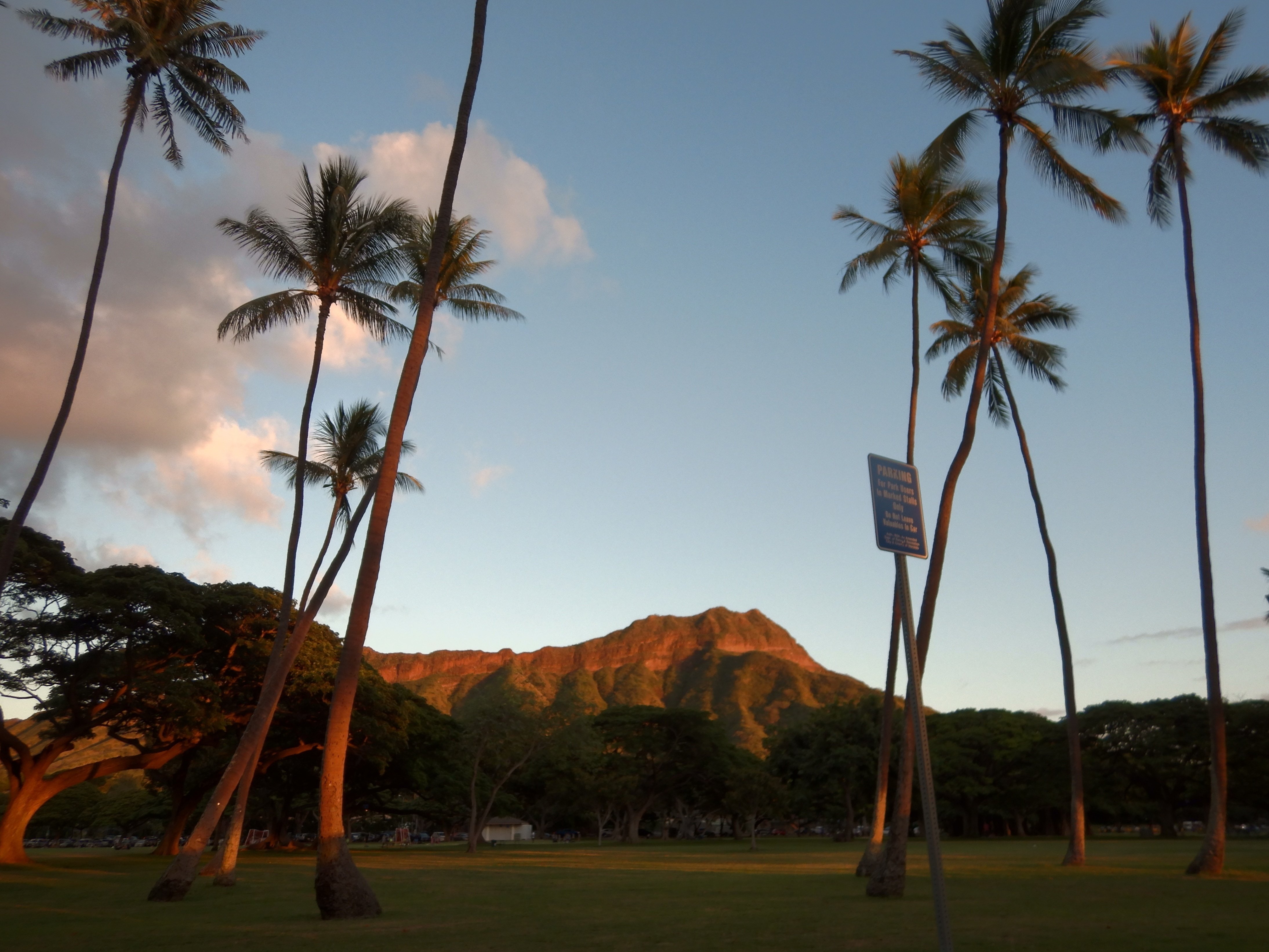 ダイヤモンドヘッド三十六景｜Susie@Honolulu, Hawaii