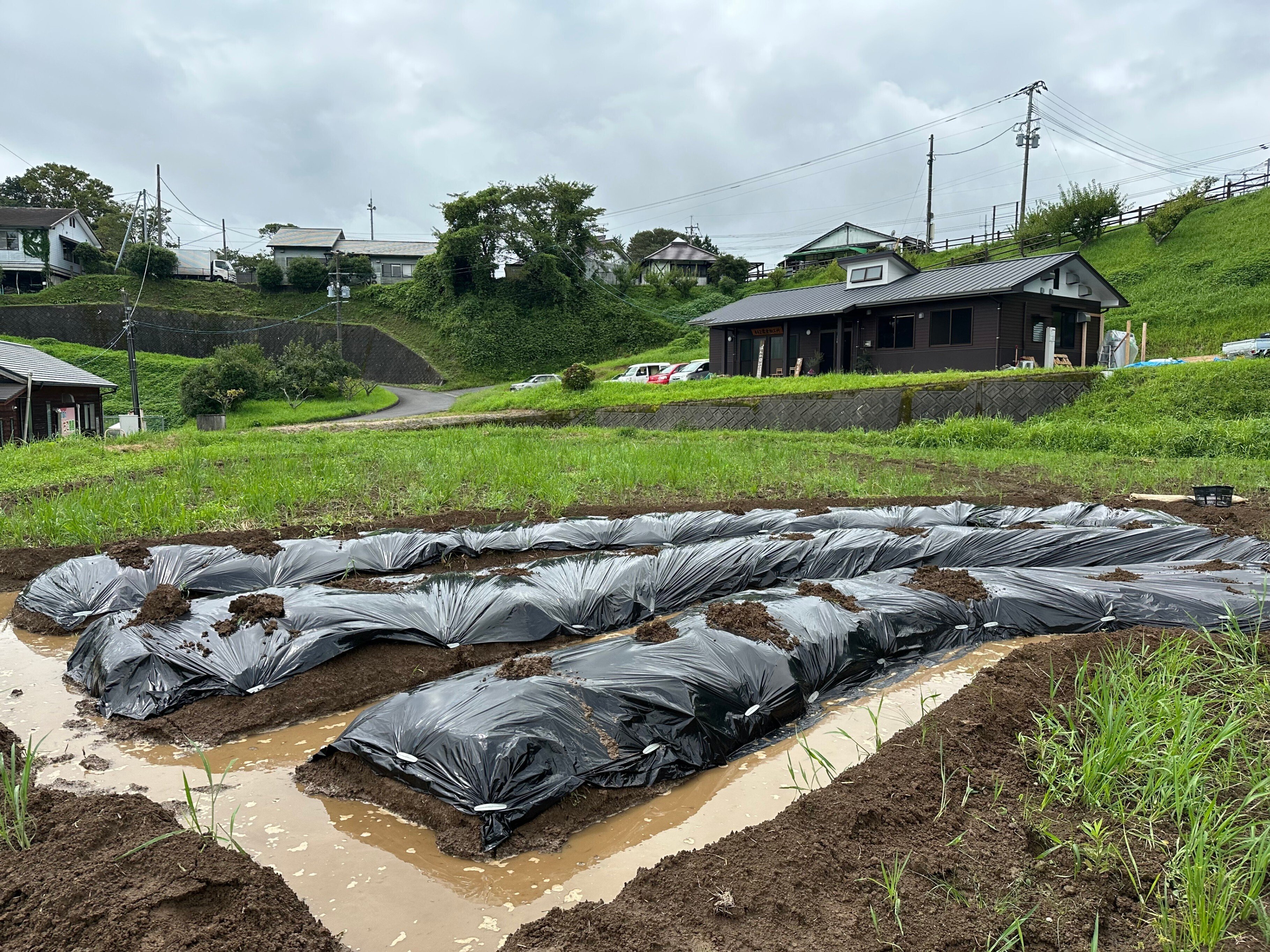 菌ちゃん農法】 #10 菌ちゃんを広めよう(2023年8月)｜NAOKO / 竜千寺農園