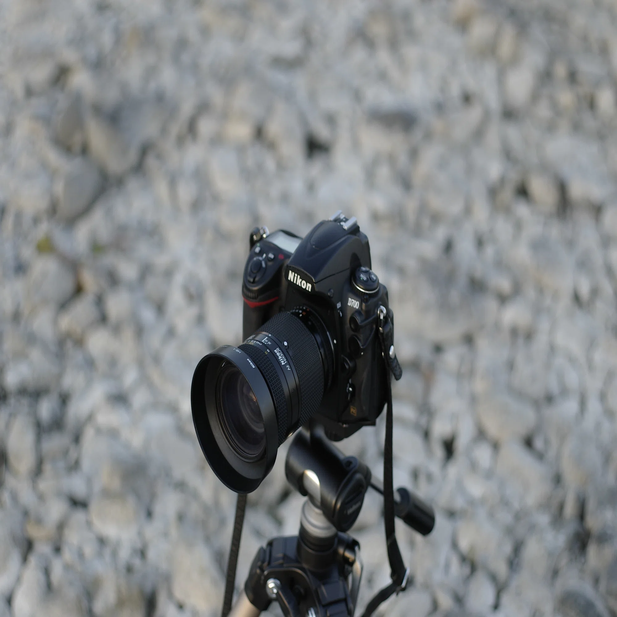 再びAF zoom NIKKOR 35-70mm f2.8D Nで。｜Sven