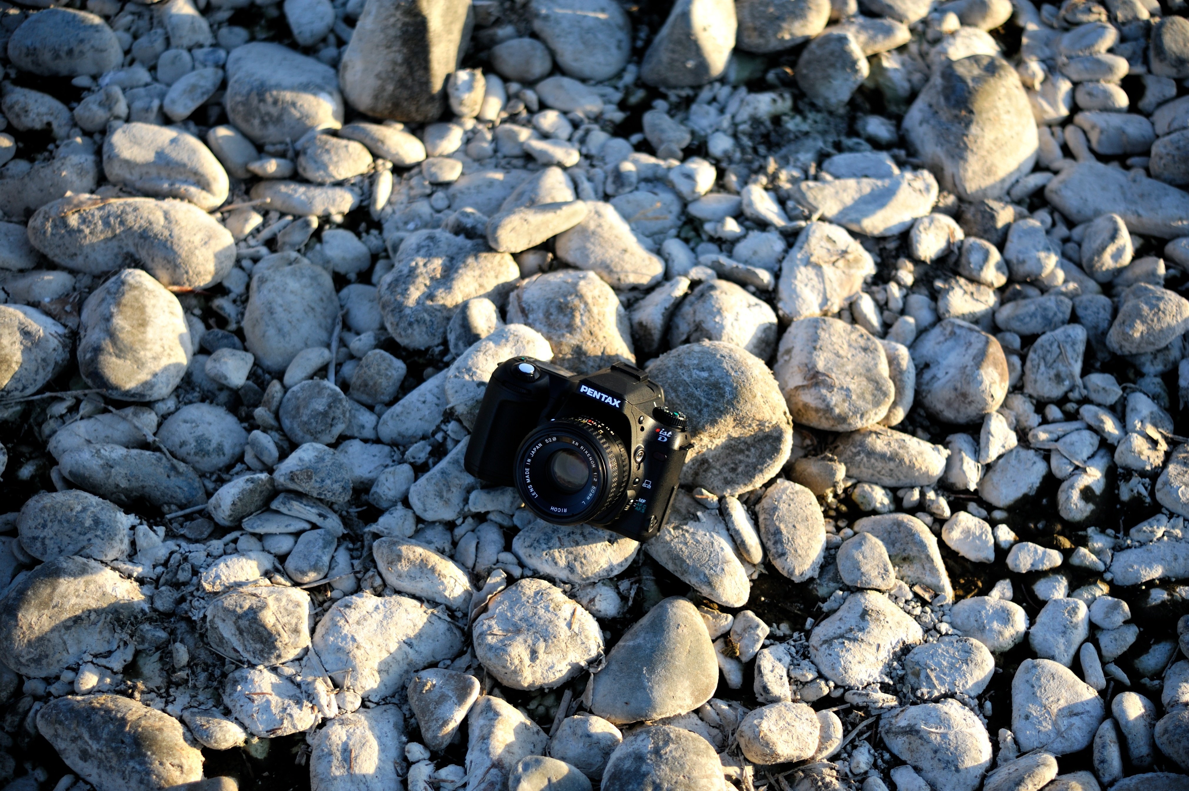 Nikon D700という一眼レフ｜Sven.