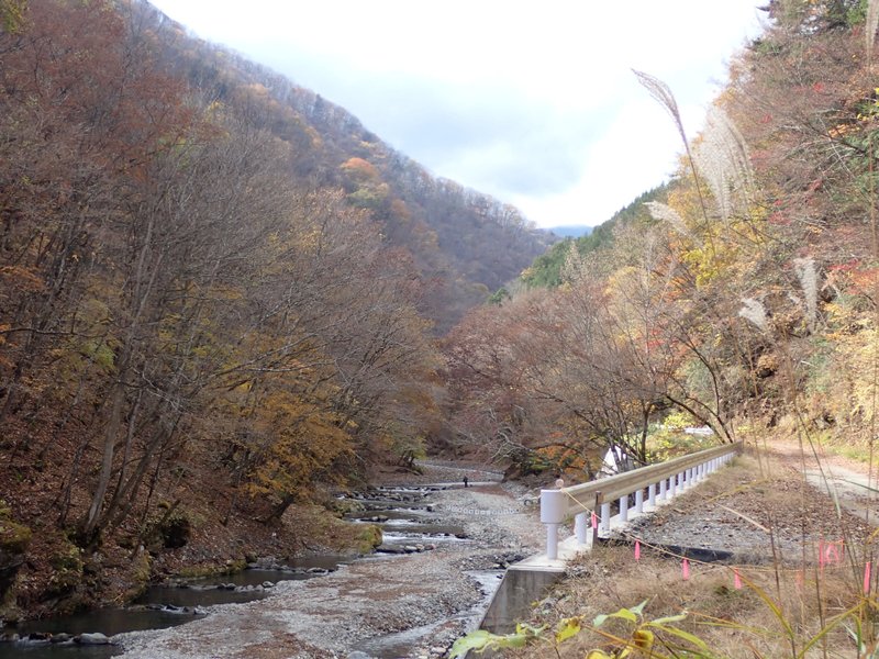 多摩川の生き物とヒト その179 水系 秩父 慰霊の登山 ‘23/11/12
