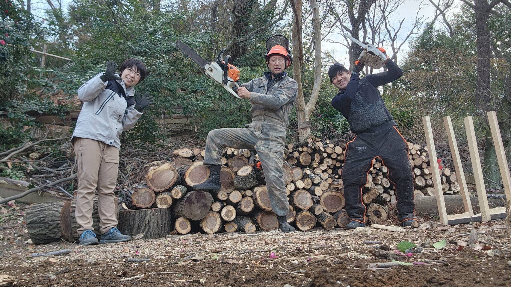 コナラの伐採｜川崎市黒川青少年野外活動センター
