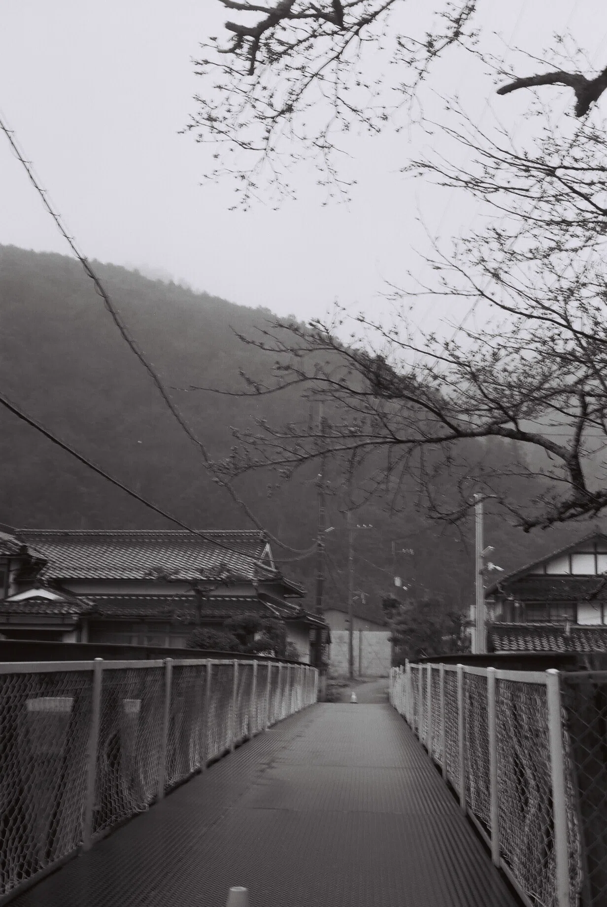 私のカメラメモ】OLYMPUS 35 DC【001】｜八田友若