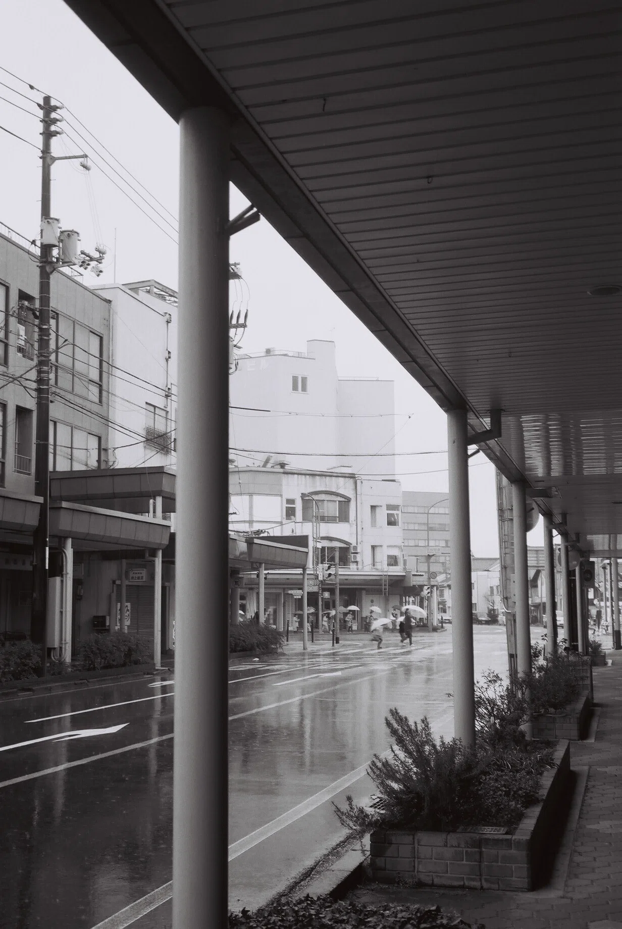 私のカメラメモ】OLYMPUS 35 DC【001】｜八田友若