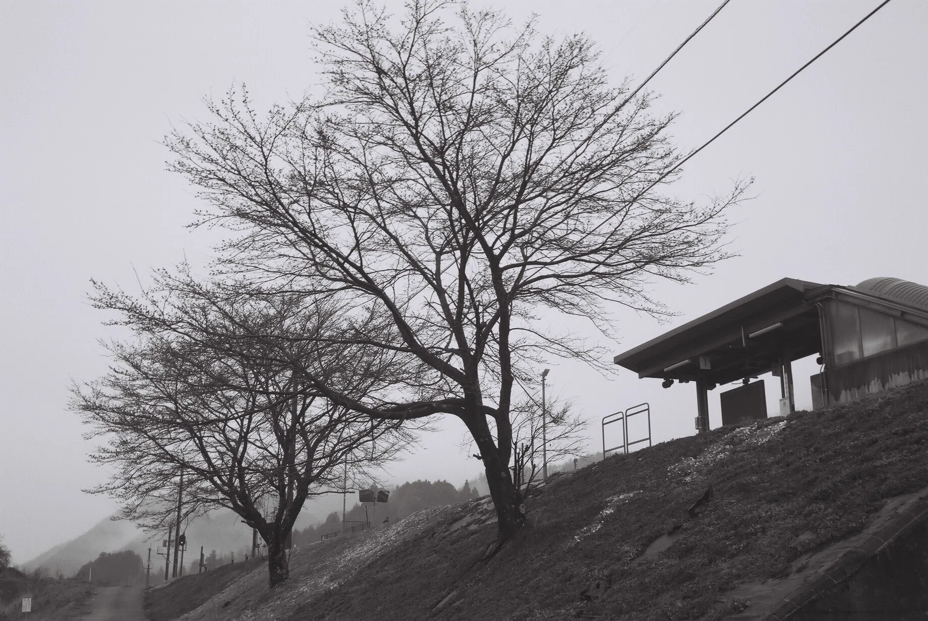 私のカメラメモ】OLYMPUS 35 DC【001】｜八田友若