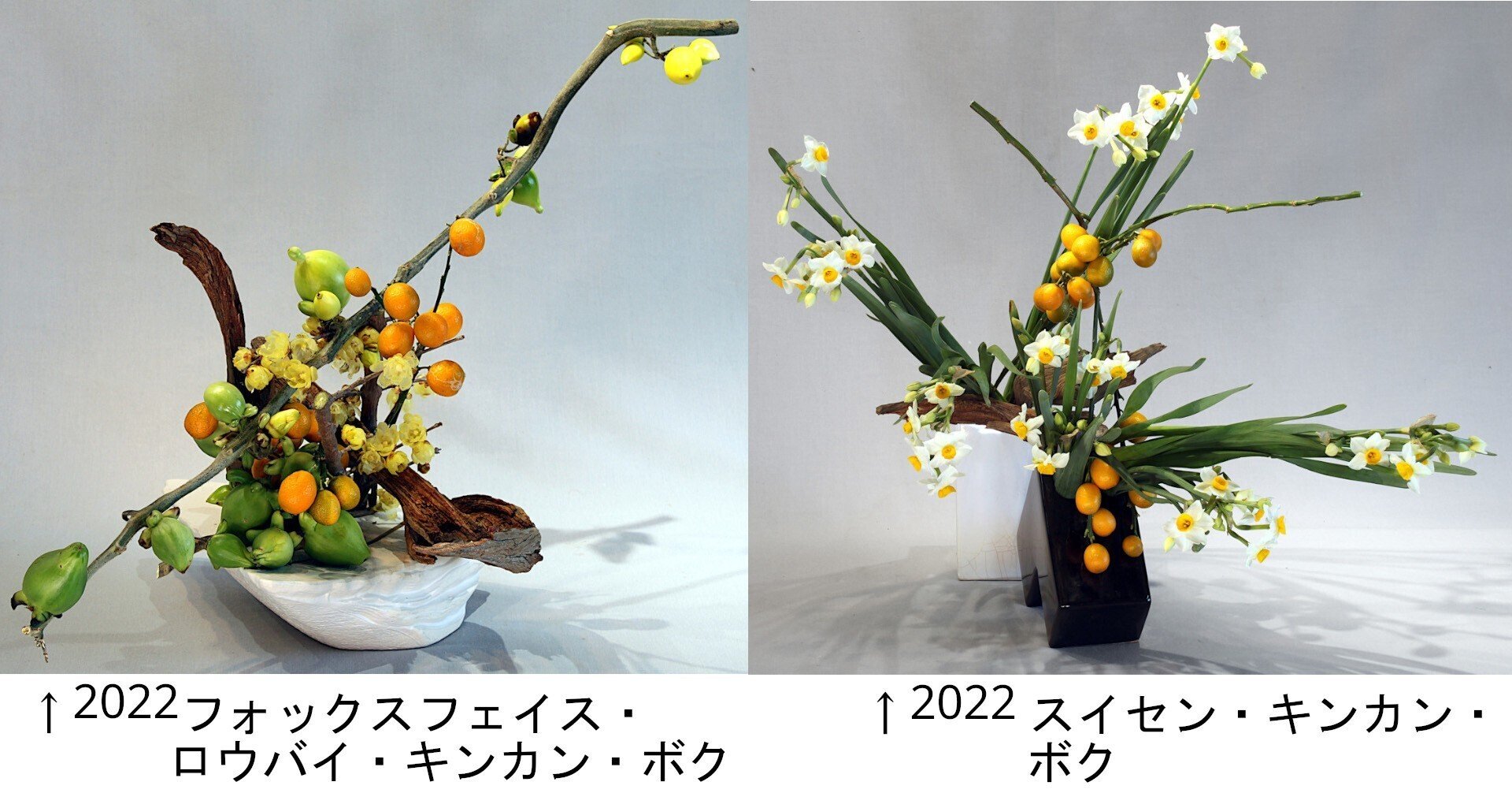 いけ花の初め (1968年) Rijo Miyamoto - #生け花 #いけばな #flowerarrangement #華道