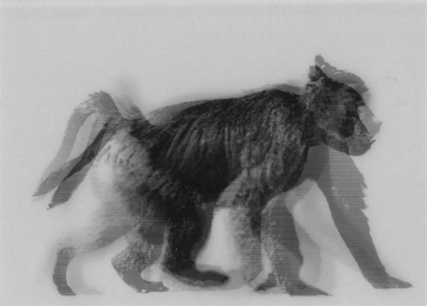 12. 絵が動くカード｜Grafik-Maniak