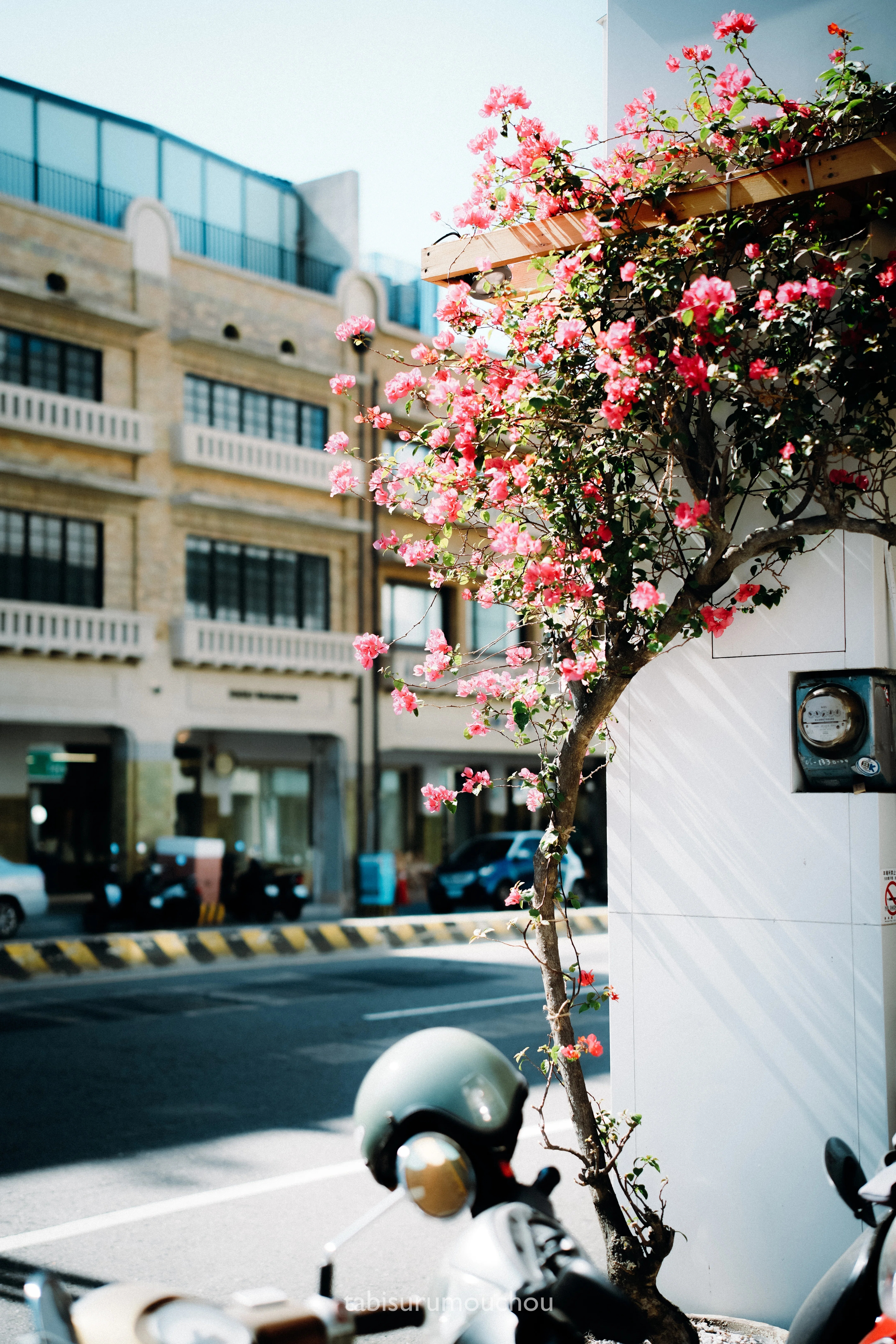 Letters, cross the sea of Taiwan.｜旅するもーちょ｜台湾