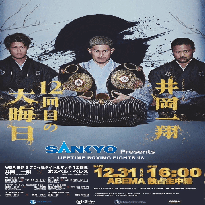 WBA世界スーパーフライ級タイトルマッチ　井岡一翔　チケット 12月31日 速報 井岡一翔vsフェルナンド・マルティネス 2 WBA世界スーパーフライ