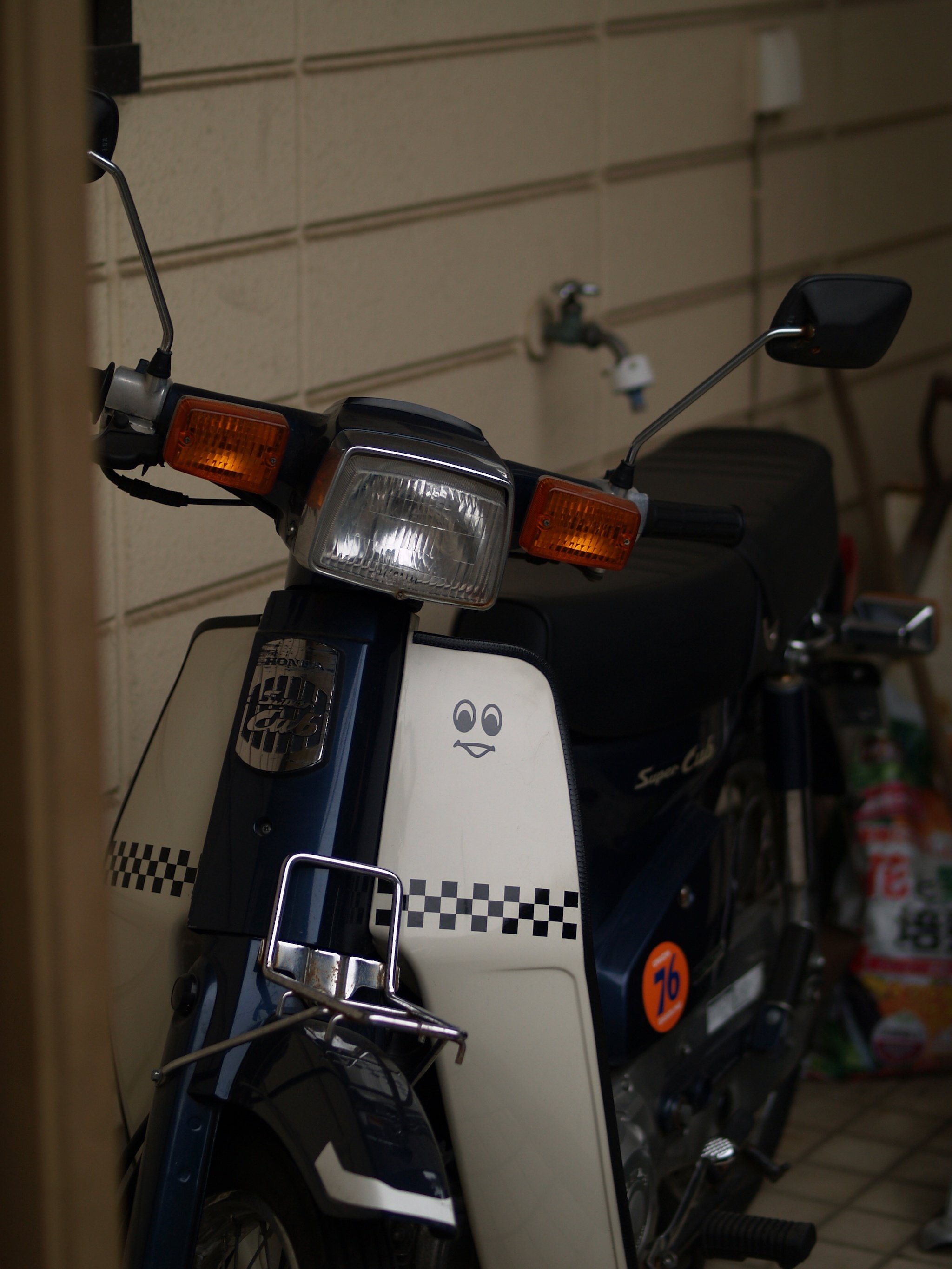 OLYMPUS E-500 オリンパスブルーのコダック製CCD搭載 撮影OK これで念願の