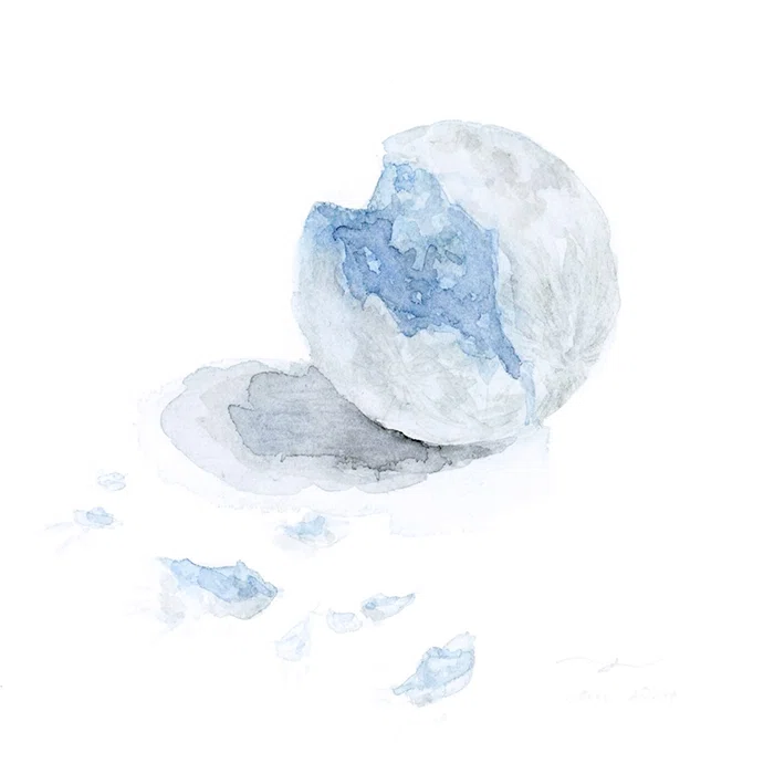 水彩で描く「透明な感情」】優 インタビュー｜Picaresque Art Gallery