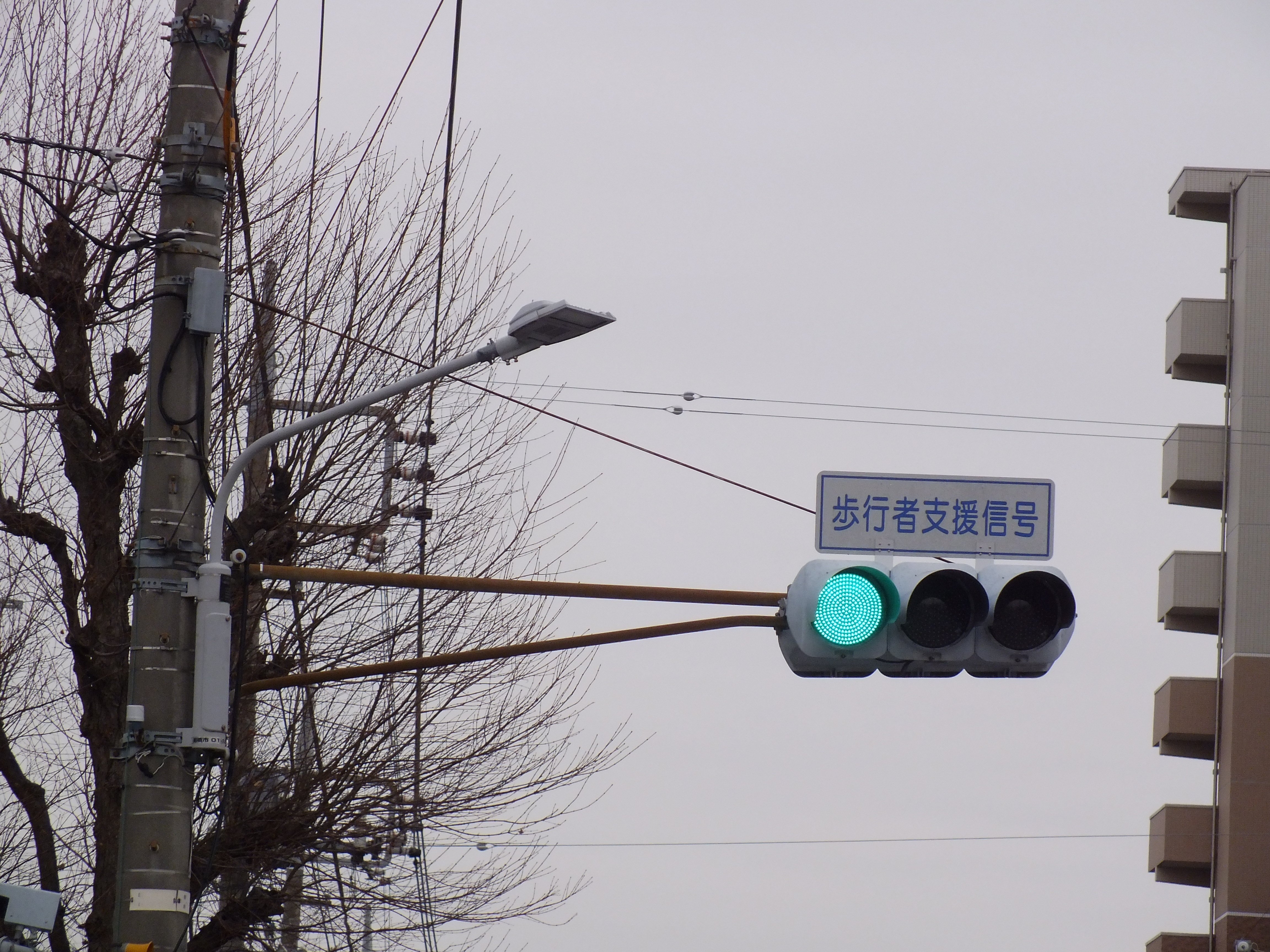 前橋市南町3丁目にある小糸DK2・小糸おにぎりLED歩灯と歩行者支援信号標示板｜光山祐弥