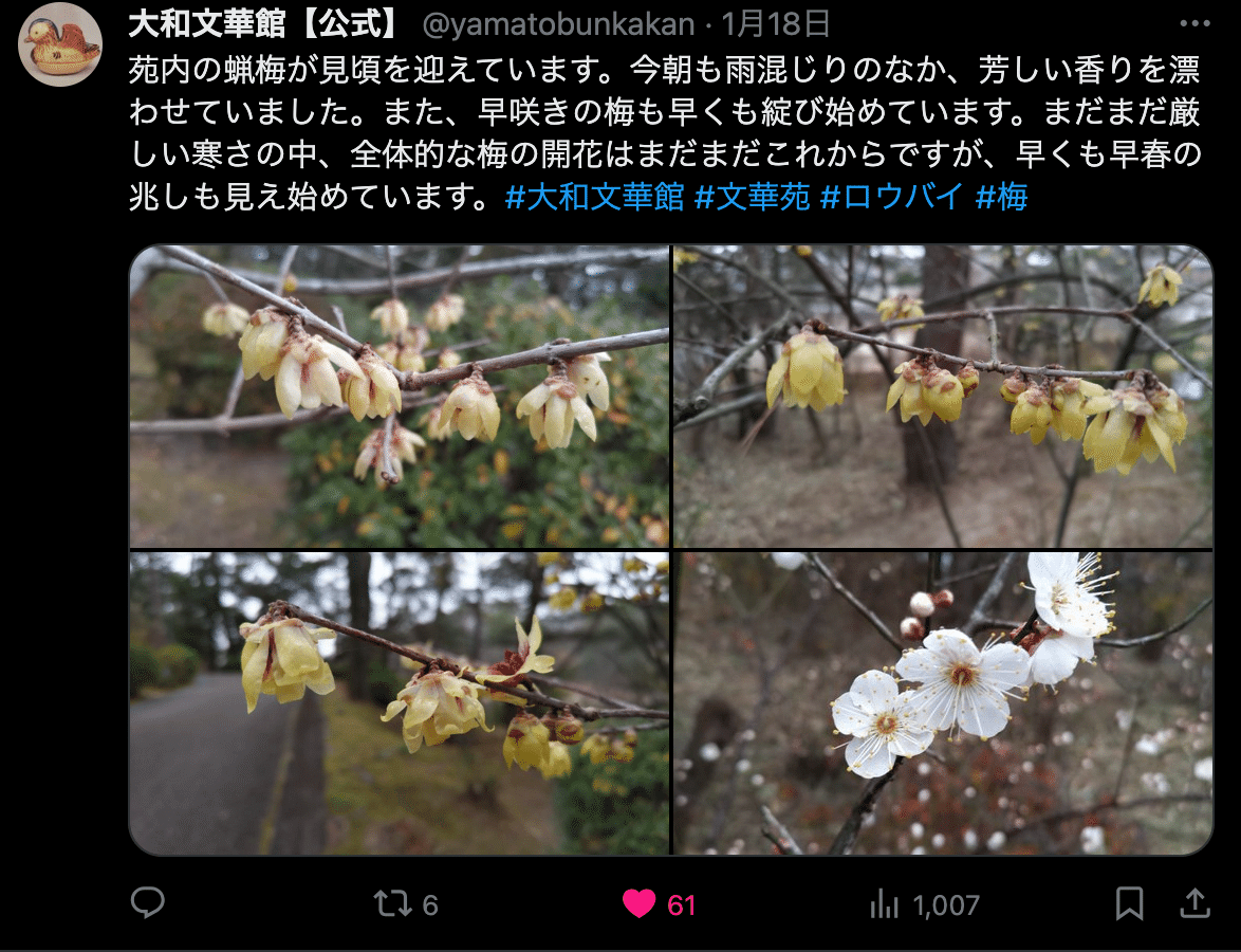 多様な 文学紹介】梅の花に馳せる思い 何遜：揚州法曹梅花盛開｜あわじ ブランデー