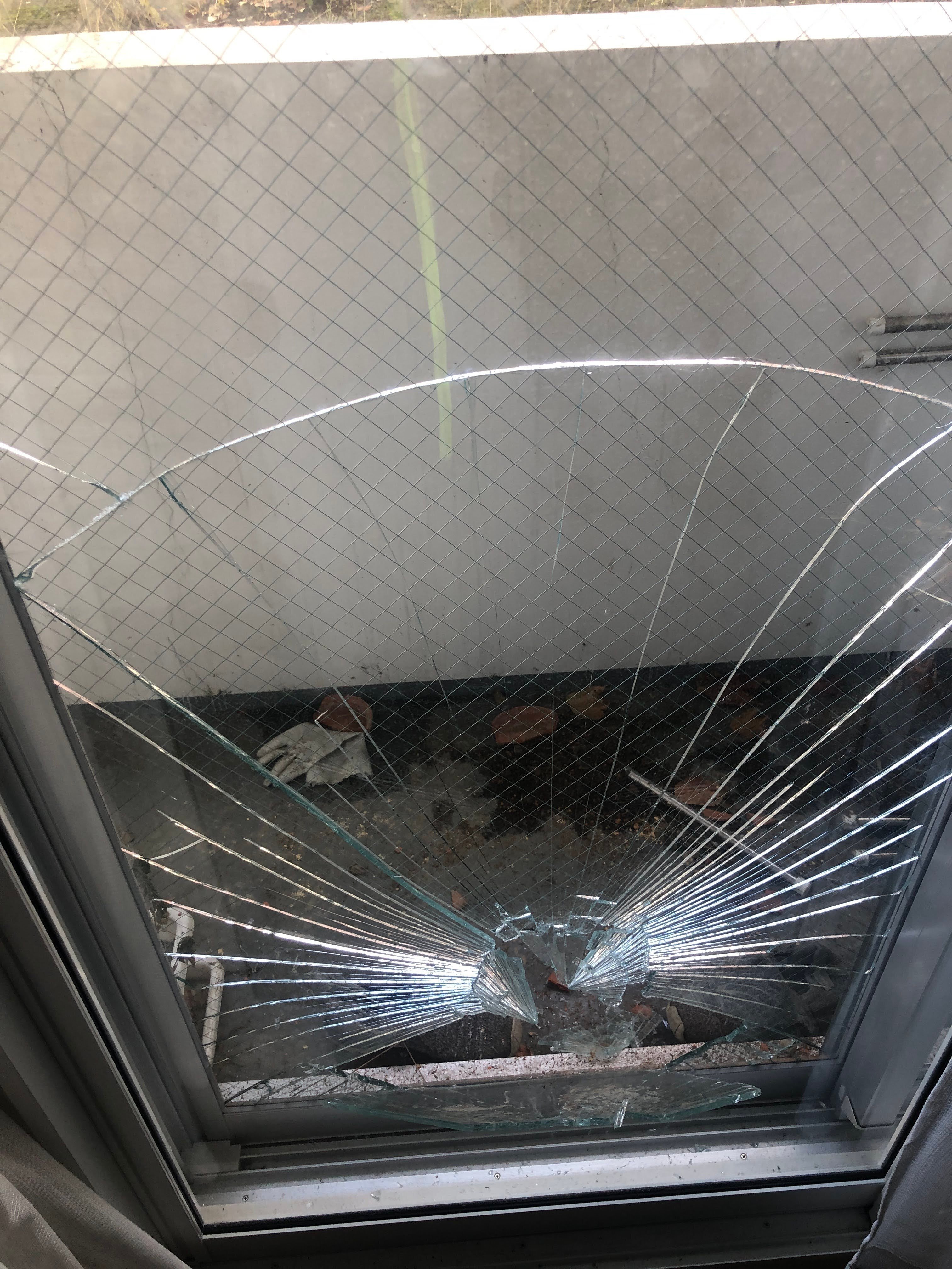 はじめての引っ越し体験記｜🌰くり&りす🐿️