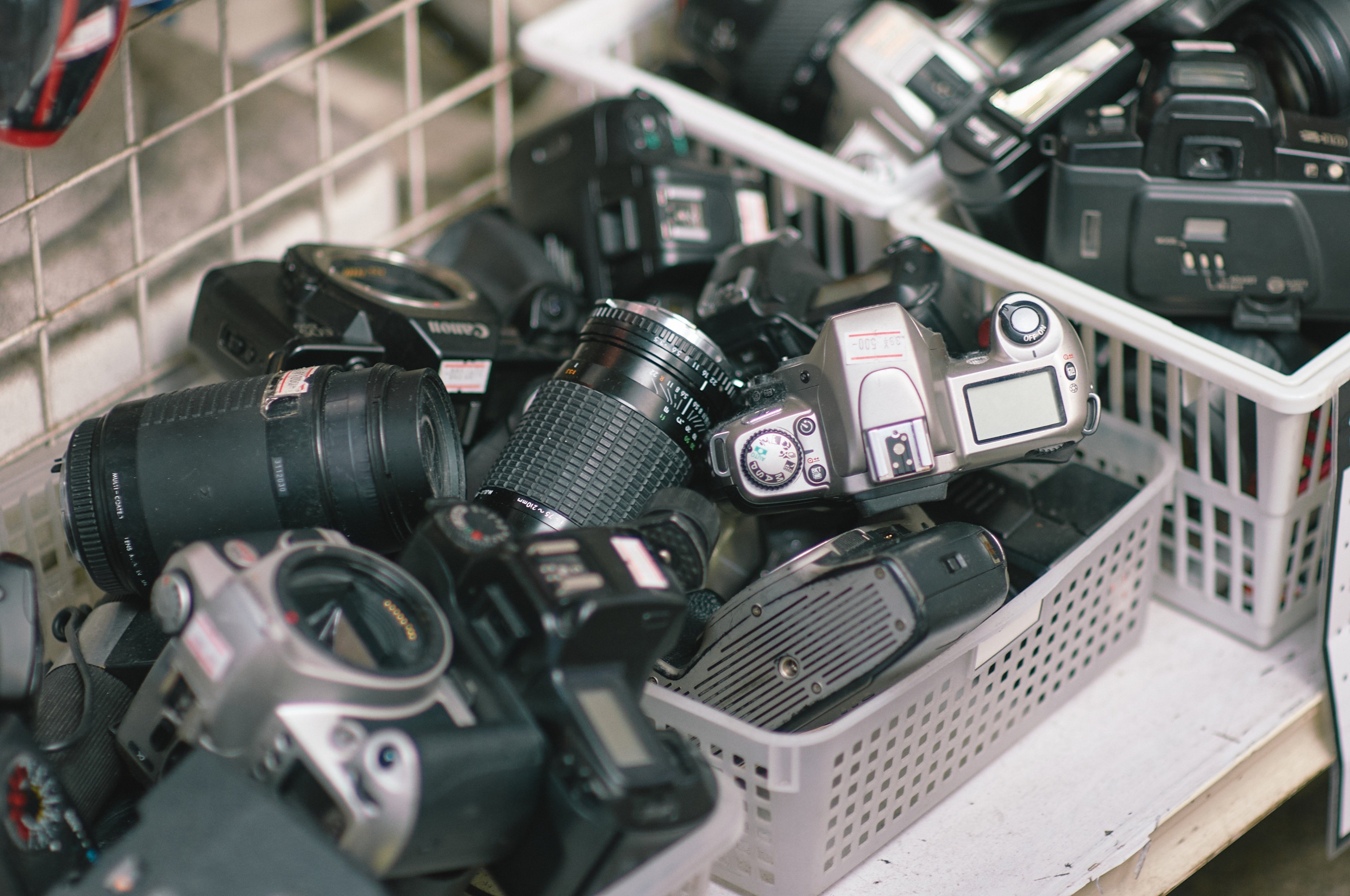 ✨高速AFをお手頃価格で体験✨Nikon D300✨ステップアップやサブ機にも✨ Z6を手放して、D3を手に入れた話。｜sugarkrone