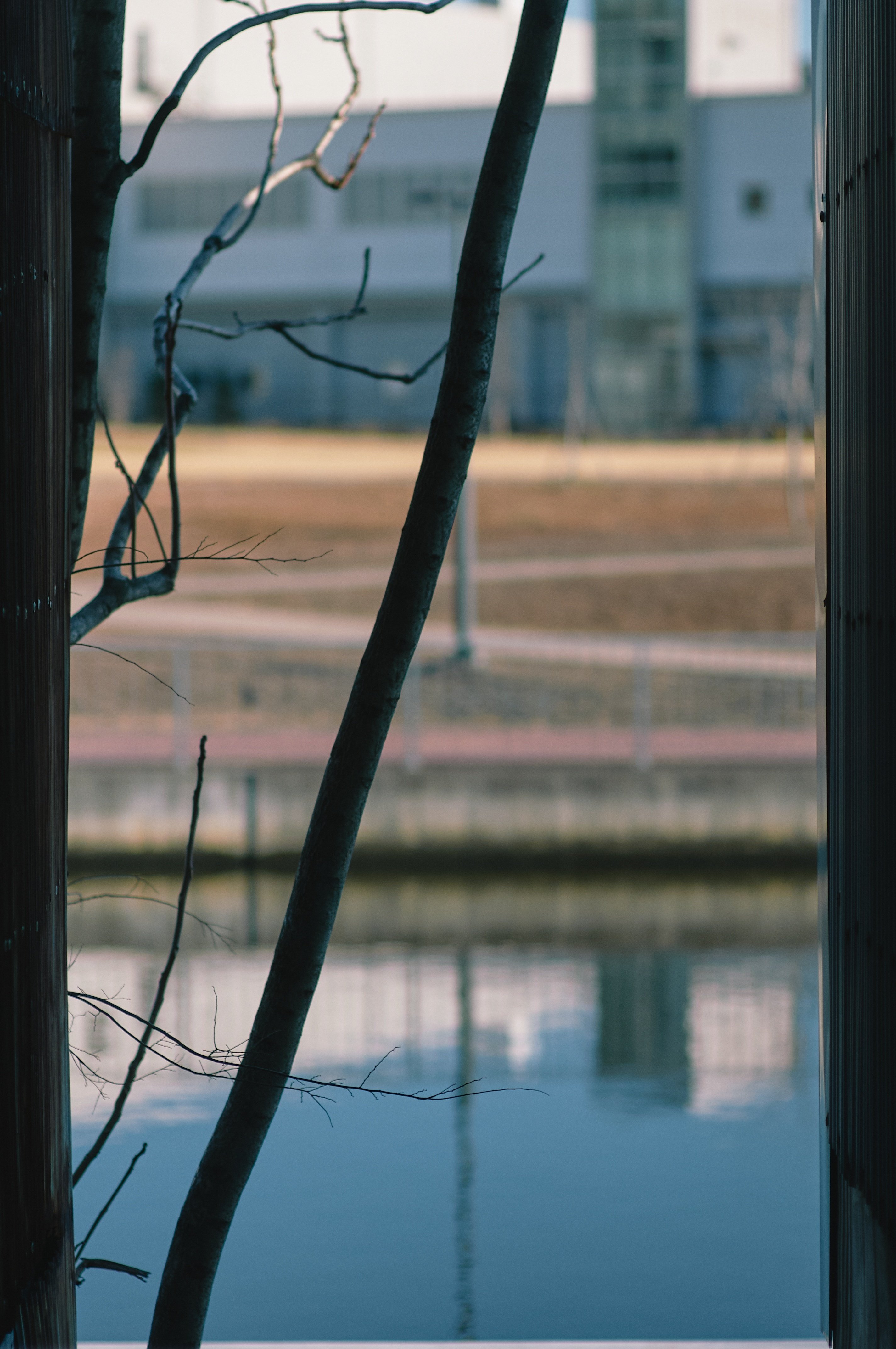 ✨高速AFをお手頃価格で体験✨Nikon D300✨ステップアップやサブ機にも✨ mqdefault.jpg