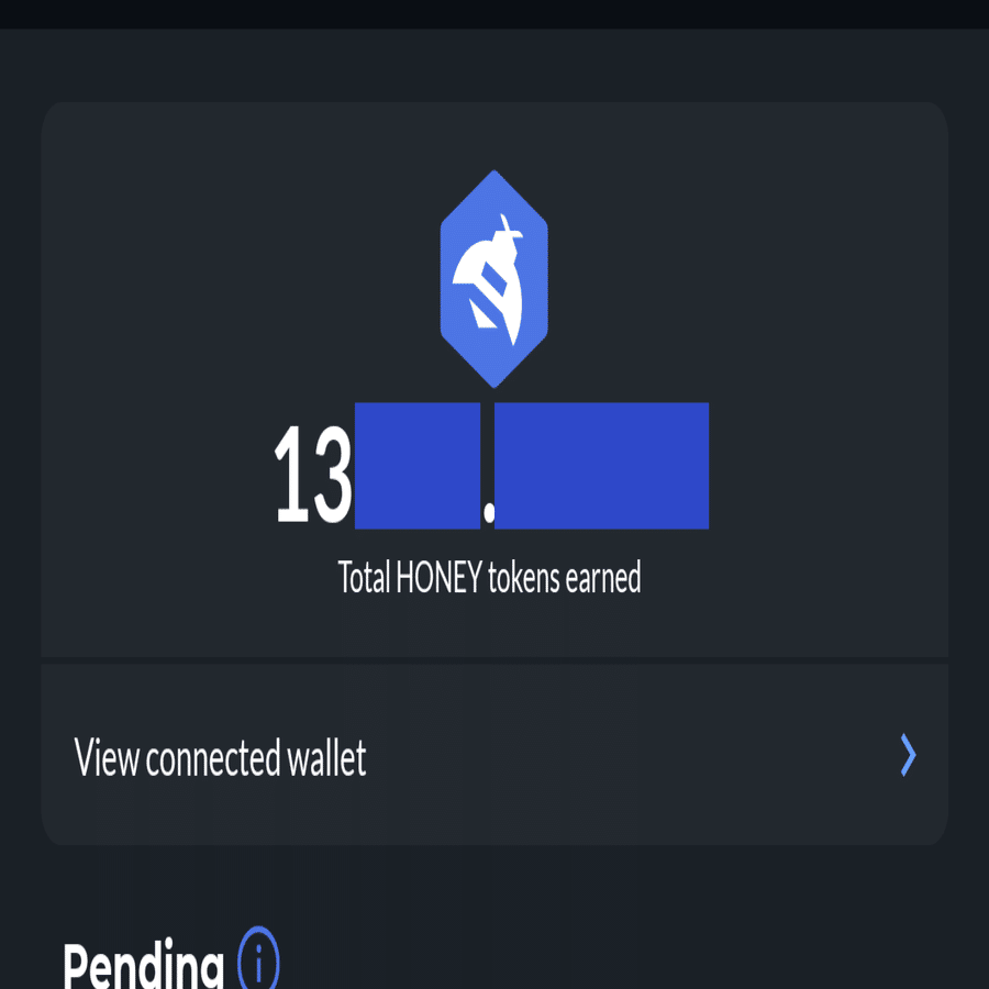 【新品】 hivemapper dashcam ダッシュカム ハイブマッパー Mounted_Dashcam_Looking_in_the