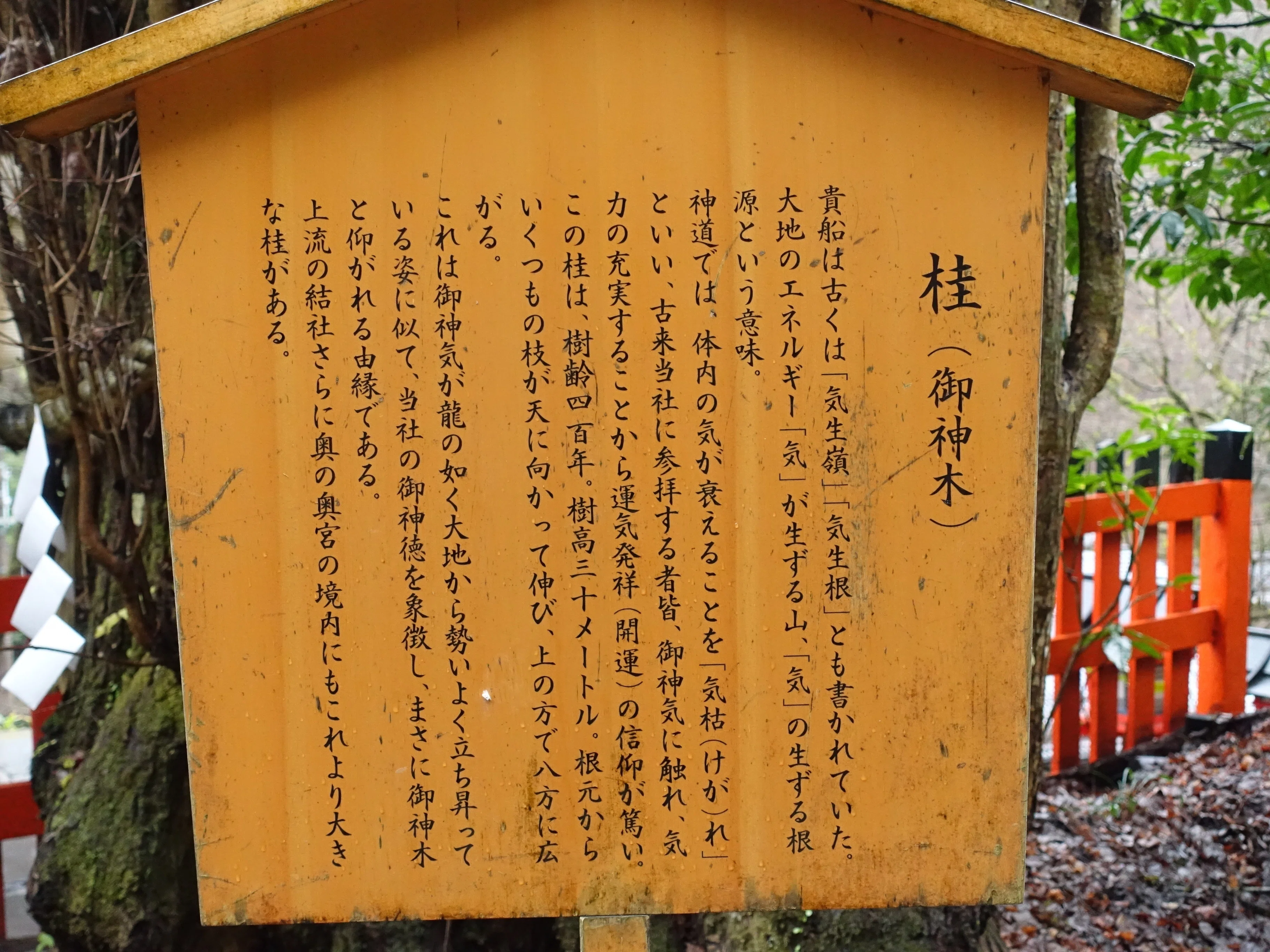 龍にゆかりの貴船神社を詣でる｜ひじき