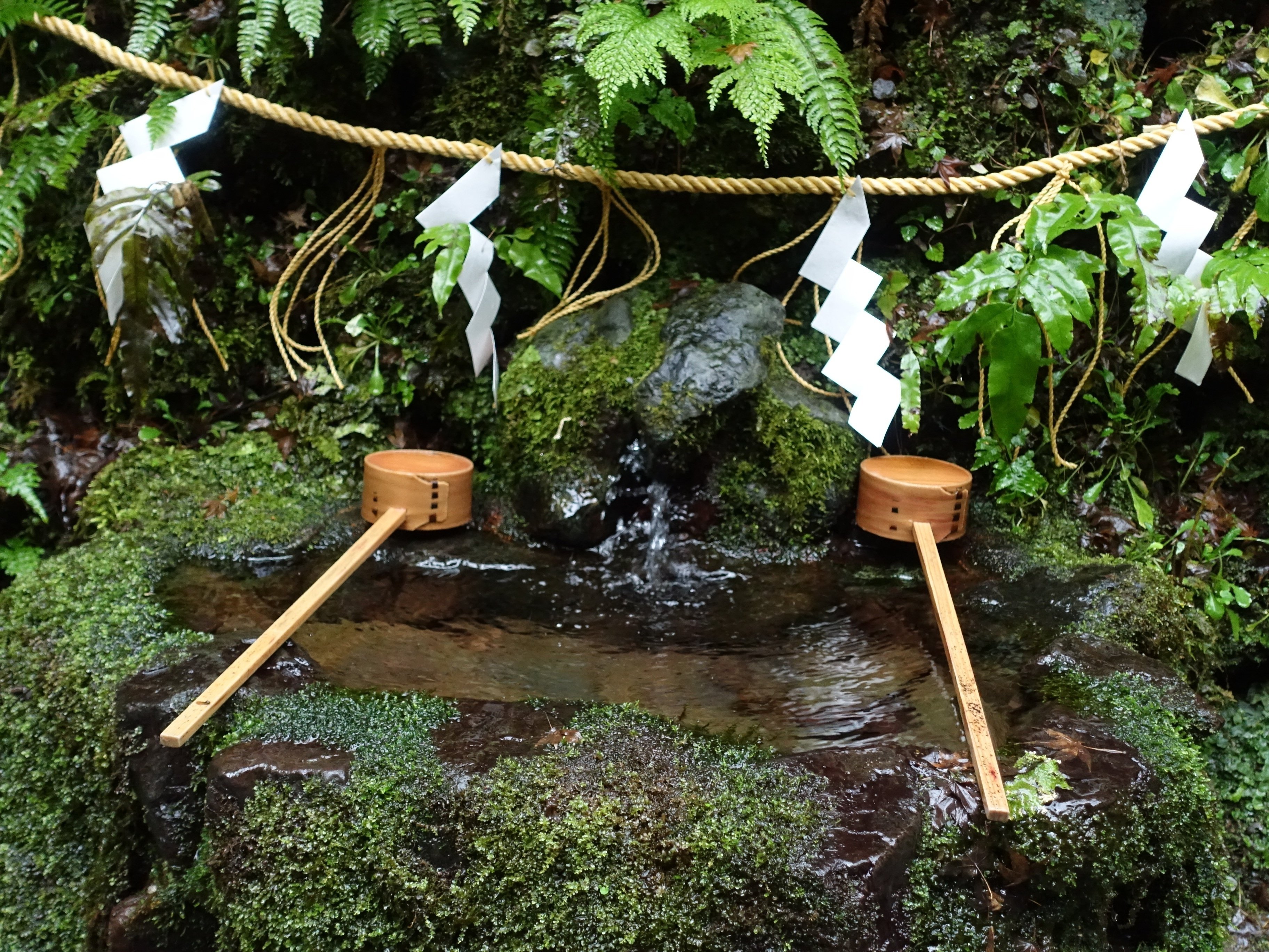 精麻龍　貴船神社御神氣入りA 三大龍穴のひとつ！ 京都・貴船神社（きぶねじんじゃ）奥宮で御朱印